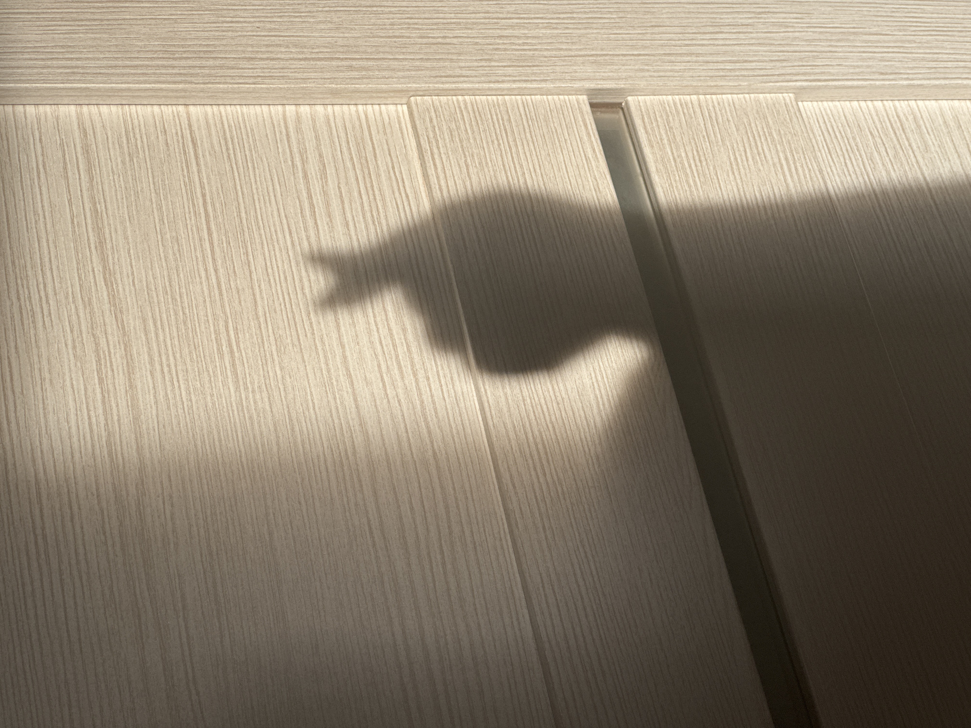 A shadow of a cat is cast on a light-colored wooden surface. The cat's shadow is on the left side of the image, with its head and ears clearly visible. The wooden surface appears to be a piece of furniture, possibly a cabinet or a door, with horizontal lines indicating the wood grain. A thin, dark horizontal line, possibly a handle or a seam, runs across the lower portion of the image, partially obscured by the shadow. The lighting suggests it is daytime, with sunlight creating the shadow. There are no people or other animals visible in the image. The location is an indoor setting in Mikhaylovsk, Russia.