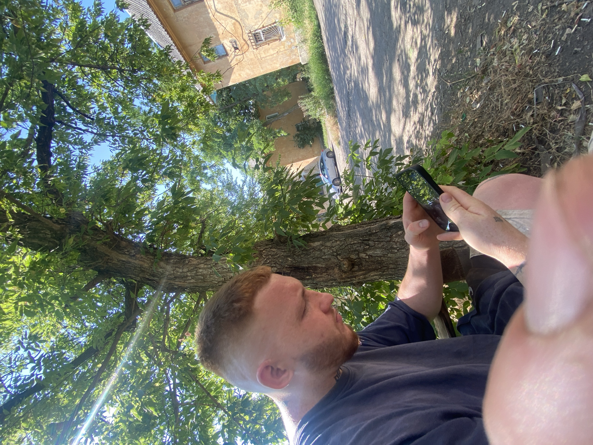 A young Caucasian man with a short, faded haircut and ginger stubble is sitting outdoors, looking at his smartphone. He is wearing a dark blue t-shirt and his left arm is visible, showing a tattoo on his forearm. The man is seated next to a large tree with a rough bark, its branches extending overhead and casting shadows. In the background, there are two dilapidated, yellow buildings and a silver car parked on a dirt road. The environment appears to be a residential area, possibly in a rural or underdeveloped part of a city. The lighting suggests it is a sunny day, with sun flares visible in the upper left quadrant of the image. The ground is covered with dirt, dry leaves, and cigarette butts.