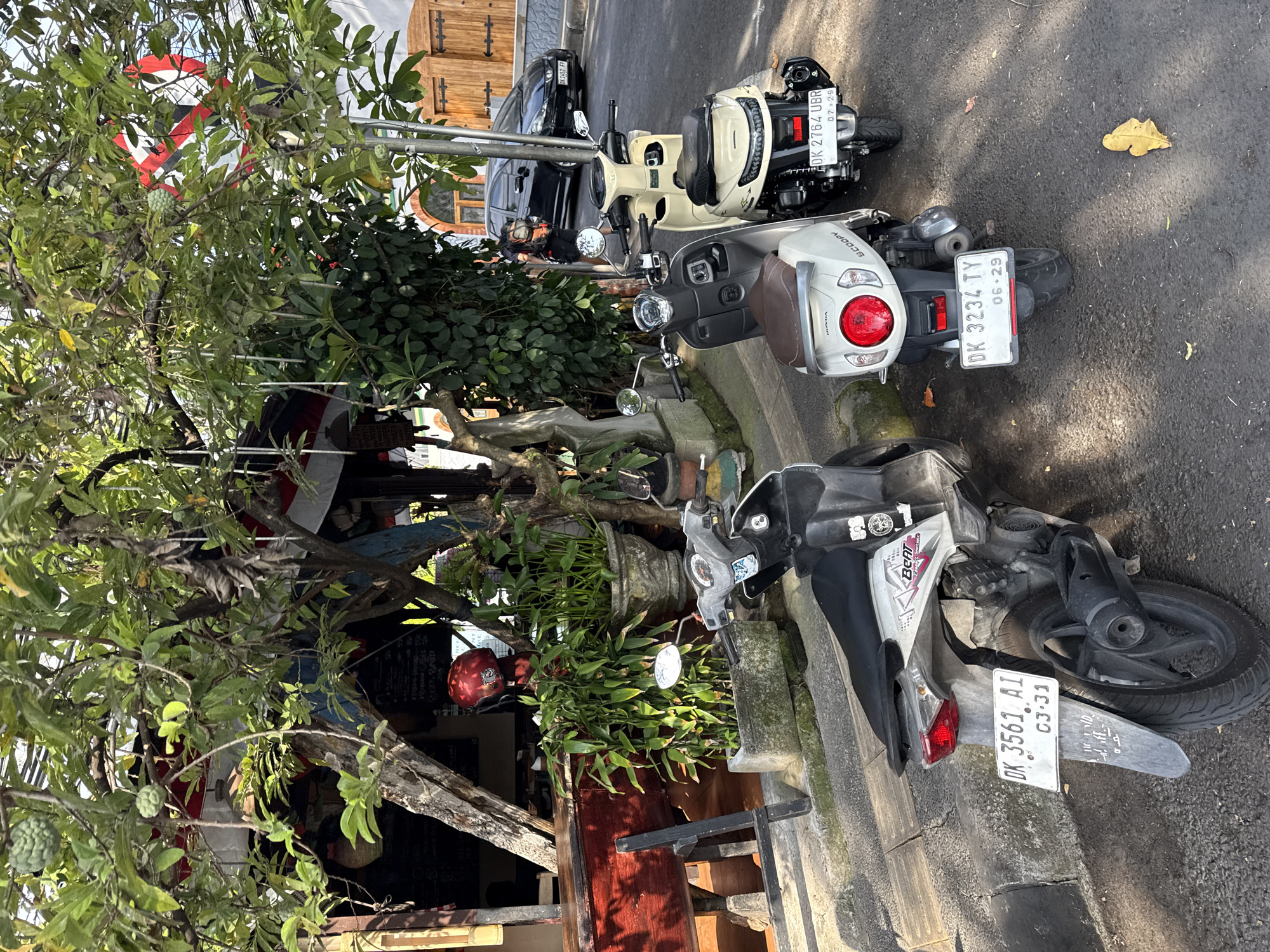 The image depicts a street scene in Denpasar, Indonesia. In the foreground, three scooters are parked on the side of a paved road next to a sidewalk. The scooter closest to the viewer is gray with a brown seat, bearing the license plate DK 3561 AI. To its right is a white scooter with a brown seat, its license plate reads DK 3234 TY. A third, lighter colored scooter is partially visible to the right of the white scooter, with license plate DK 2764 UBR. Behind the scooters, a black car is parked on the road. The background shows a building with wooden doors and arched windows, and foliage from trees overhangs the scene, with some green fruits visible. The overall environment appears to be an outdoor cafe or shopfront, with a red table and potted plants visible. The lighting suggests it is daytime, with sunlight casting shadows.