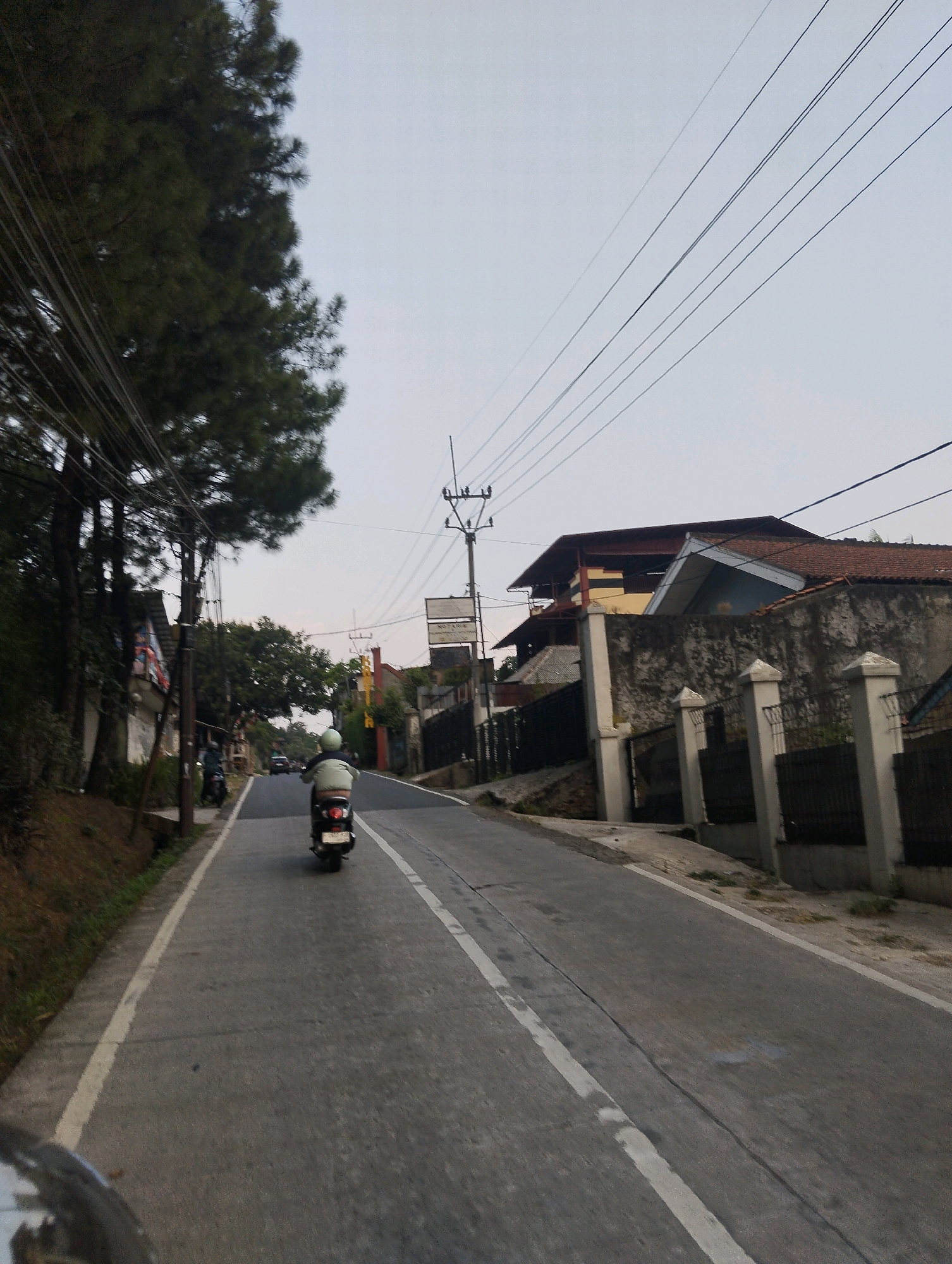 A moderately wide, paved road winds through a residential area in Megamendung, Indonesia, under an overcast sky. On the left side of the road, a steep embankment covered with vegetation slopes upwards, with several mature pine trees casting shadows. Power lines crisscross the sky above the road and trees. A person is riding a black scooter ahead, wearing a light-colored jacket and helmet. Further up the road, another scooter is parked. On the right side of the road, a stone wall with pillars and a dark metal fence separates the road from houses. One house has a dark-tiled roof and a lighter-colored upper story with yellow and brown elements. Another house is partially visible with a light blue facade and a reddish-brown tiled roof. The overall scene depicts a quiet, everyday streetscape in a semi-urban, hilly environment.