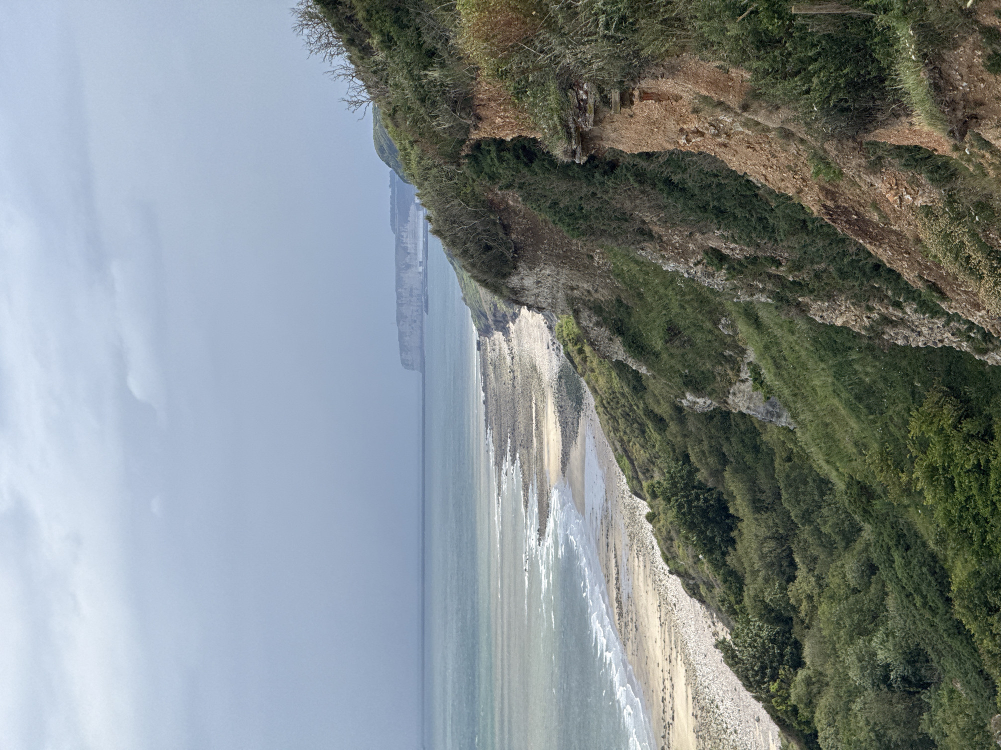 This detailed description pertains to an outdoor coastal landscape in Octeville-sur-Mer, France, captured on an overcast day. The scene is dominated by a rugged, vegetated cliff face on the right, sloping downwards towards a beach and the sea on the left.
The sky occupies the upper portion of the image, presenting a uniform, light grey expanse filled with scattered, indistinct clouds, indicating an overcast condition without direct sunlight.
Below the sky, the sea extends across the mid-ground. The water is a muted blue-green, with subtle variations in tone and texture. Small waves are visible, particularly closer to the shore, where they break into white foam along the coastline.
A narrow, elongated beach, composed of light-colored sand and pebbles, forms a gentle curve between the sea and the base of the cliffs. The beach appears undisturbed, with no human presence or objects.
The right side of the image is dominated by a steep, uneven cliff face that descends sharply from the upper right towards the lower left. The exposed earth of the cliff displays various shades of reddish-brown and orange, suggesting a clay or sandy soil composition, with visible signs of erosion and stratification. The cliff is heavily covered with dense, varied vegetation, including dark green bushes, lighter green grasses, and some sparse, bare deciduous branches, particularly near the top right. Further down the slope, patches of thicker, darker green foliage are present.
In the far distance, across the expanse of the sea, a distinct line of white-grey chalk cliffs is visible on the horizon, stretching horizontally along the distant coastline. No human structures or individuals are identifiable within the frame.