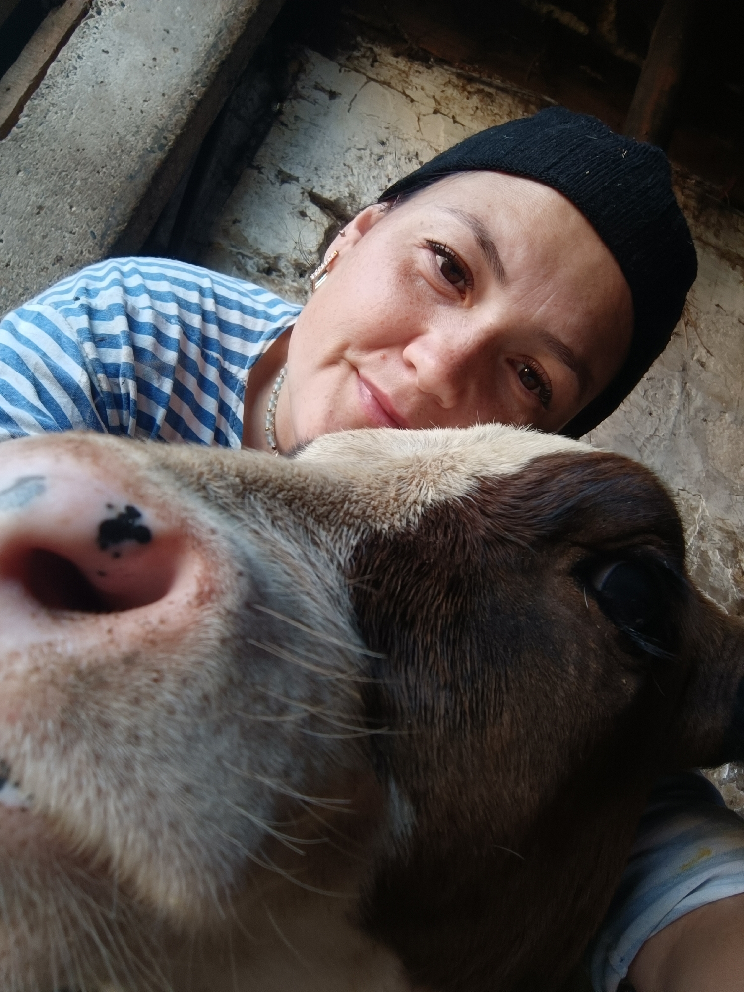 In Karsha, Russia, a close-up selfie captures a person wearing a black beanie and a blue and white striped shirt. The person's face is angled towards the camera, with a gentle smile. In the foreground, a calf's head is prominently featured, its nose pressed close to the lens, revealing dark spots on its snout. The background is indistinct, suggesting an indoor or sheltered environment with textured walls and wooden beams. The overall impression is one of a candid, affectionate moment between a person and an animal.