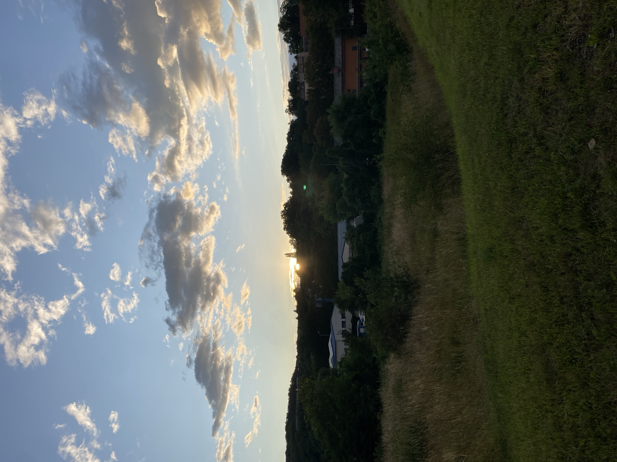 The image depicts a sunset over the city of Bílina, Czechia. The foreground is dominated by a grassy embankment on the right, sloping down to a field of tall, dry grass on the left. In the midground, a line of trees and buildings is visible, including what appears to be an industrial building with a white roof and blue trim, and several residential structures. The sunset is partially obscured by trees on the horizon, with rays of light breaking through the clouds. The sky above is a clear blue with scattered white and grey clouds, illuminated by the setting sun. There are no people or animals visible in the scene. The overall impression is one of a rural or semi-rural landscape on the outskirts of a town.