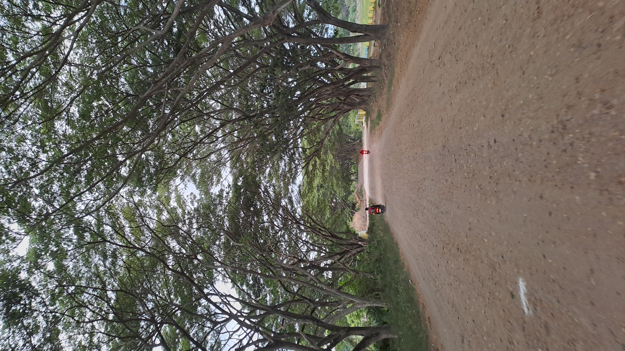 The image depicts a dirt road curving through a dense canopy of trees, creating a natural tunnel effect. The road is lined with lush green foliage and tall trees with extensive branches that meet overhead, filtering the sunlight. In the foreground, a person is riding a motorcycle on the left side of the road, and another motorcycle with a red light is visible further down the road on the right. The ground is a mixture of dirt and small stones. The sky is overcast. The scene appears to be in Uteunreutoh, Indonesia, based on the vegetation and rural road conditions typical of the region.