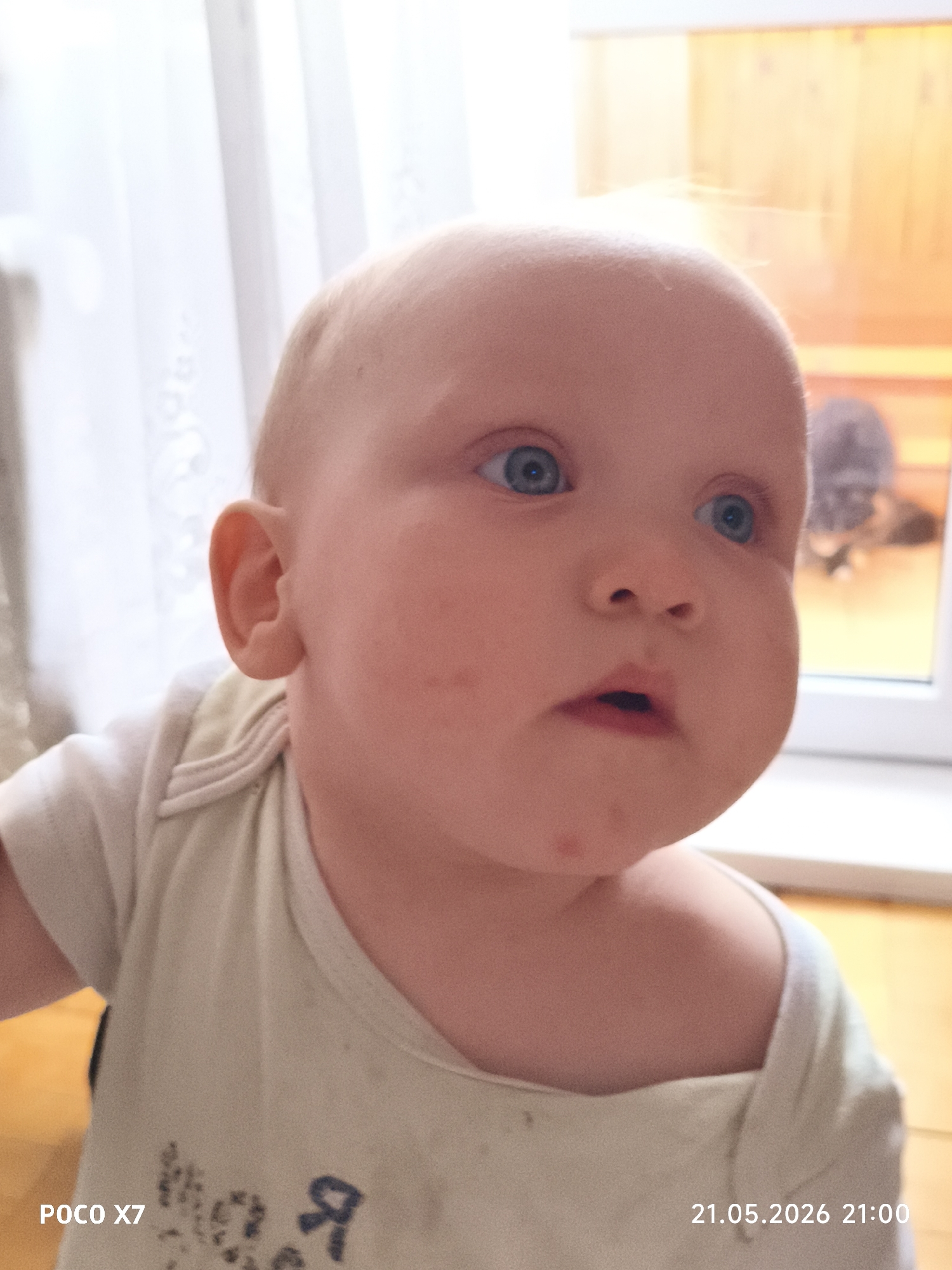 A close-up image of a baby's face, with blue eyes and fair skin. The baby is wearing a light-colored shirt. The background includes a window with what appears to be an animal (possibly a cat) visible outside and some white curtains. The image has a date stamp of "21.05.2026 21:00" and "POCO X7" in the bottom left corner. There is no information in the image to confirm the location is in Chaikovsky, Russia.