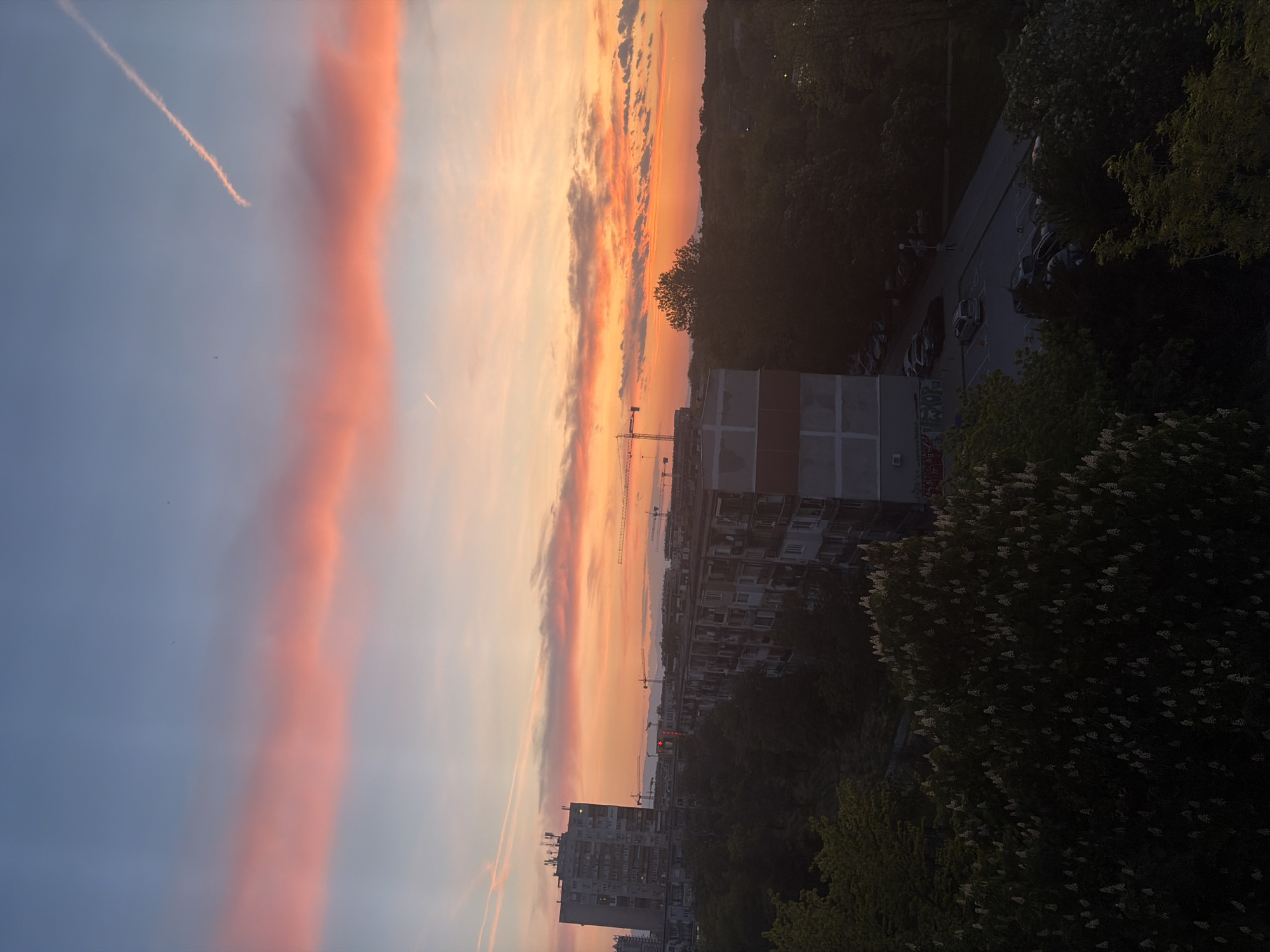 The image shows a sunset view in Plovdiv, Bulgaria, with the sky dominated by streaks of pink and orange clouds on the left side and a gradient of orange to blue on the right. Below the sky, there is a cityscape featuring residential buildings of varying heights and architectural styles. Several construction cranes are visible in the middle ground. Trees line the right side of the frame, obscuring parts of the buildings and the street below, where parked cars are visible. A contrail is visible in the blue sky.