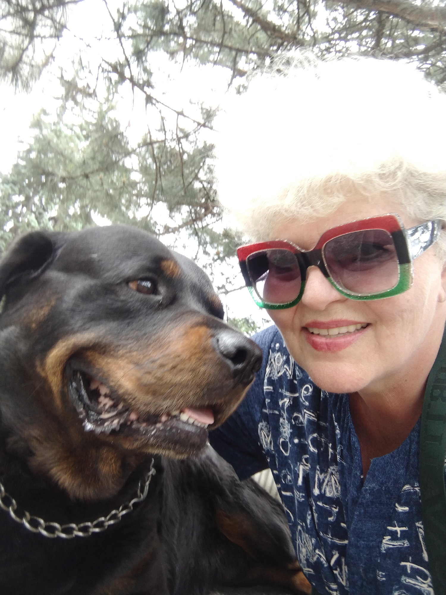 A close-up outdoor portrait features a smiling woman alongside a Rottweiler dog. The woman has voluminous, fluffy white curly hair and is wearing large, distinctive sunglasses with red, black, and green frames. Her lips are adorned with pink lipstick, and she is dressed in a blue shirt patterned with abstract white, possibly alphanumeric, symbols (e.g., 'e', 'C', 'M', '+').
Next to her, a black and tan Rottweiler, wearing a metal chain collar, is captured with its mouth slightly open, revealing its teeth and tongue, suggesting a happy expression or gentle panting. Both subjects appear to be looking towards the camera, indicating a selfie or a close-up photograph.
The background is blurred, showing light-colored tree branches and foliage against a bright, diffuse sky, characteristic of an overcast or bright daytime setting. The scene suggests an affectionate interaction between the woman and her canine companion, likely in a park or garden in Horishni Plavni, Ukraine. No specific legible text is visible other than the abstract patterns on the woman's shirt.