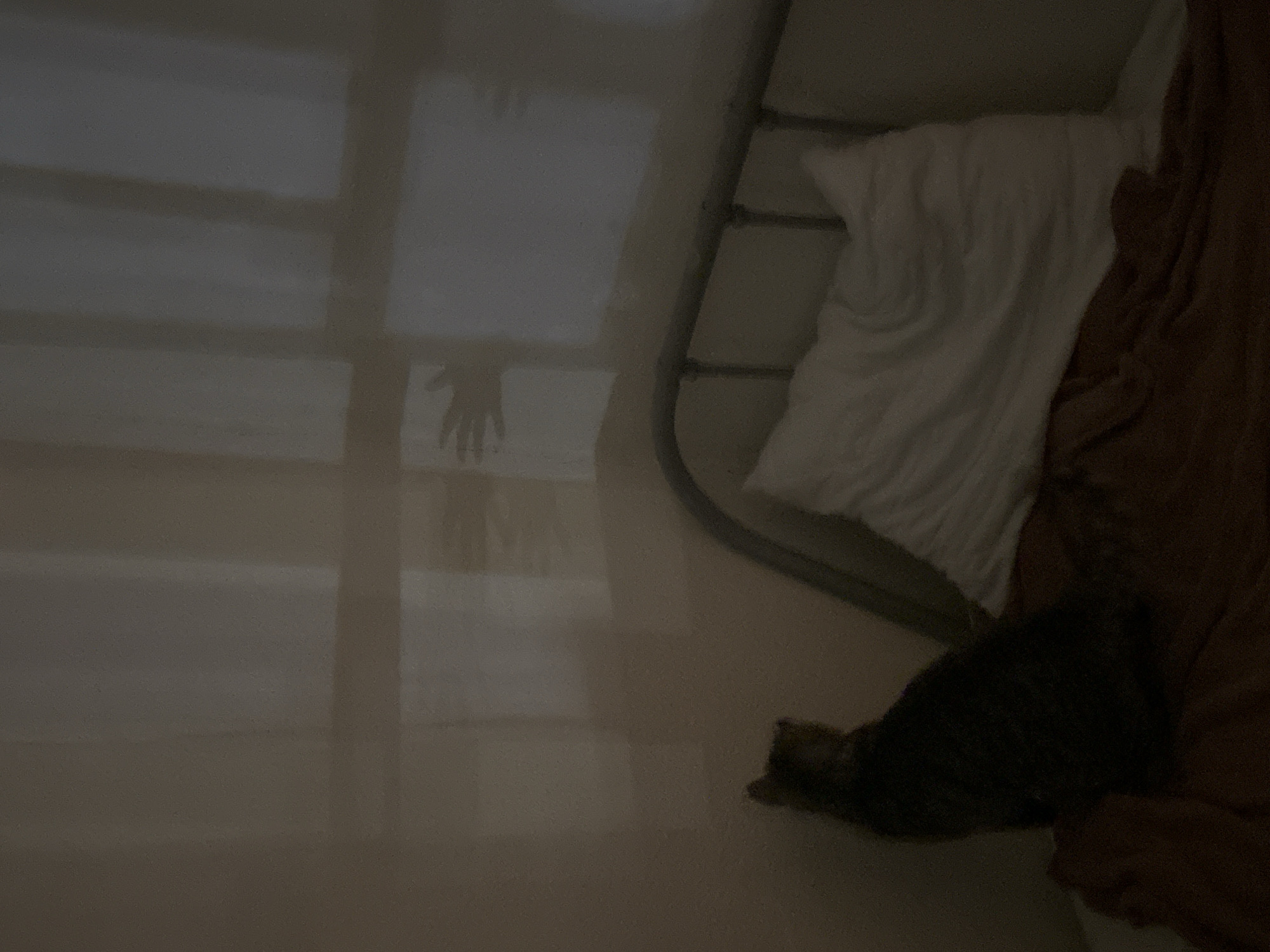 The image depicts a dimly lit room, possibly a bedroom, with a bed in the foreground. A cat is visible on the bed, facing away from the camera. The wall behind the bed is illuminated by patterned light, creating shadows that suggest the presence of a window with blinds and a hand reaching out. The overall impression is one of mystery and slight unease due to the shadows. There is no information in the image to suggest a location in the city of Sinyavino, Russia.