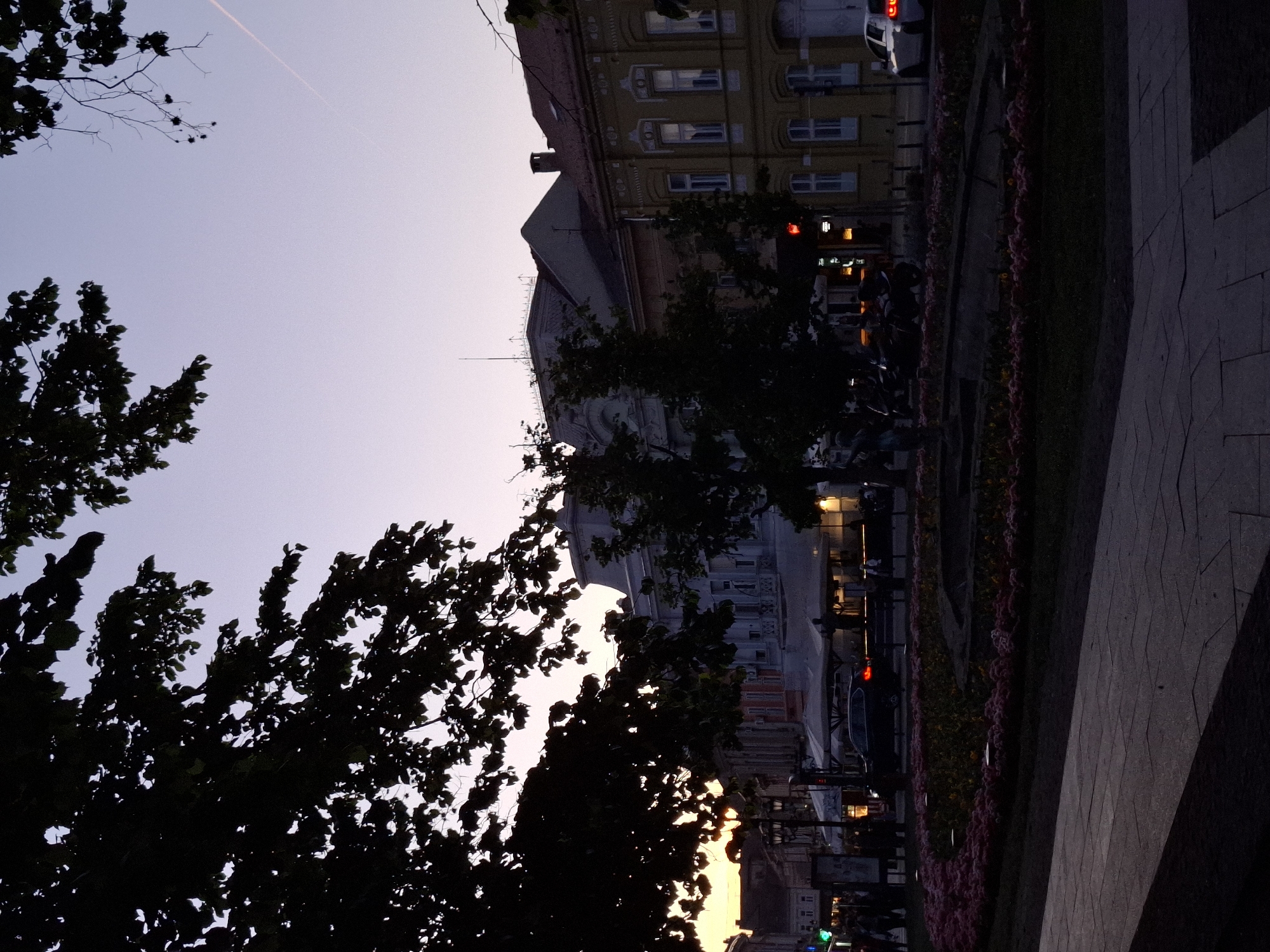 The image depicts a twilight urban scene in Novi Sad, Serbia, with a view towards buildings, trees, and a park area. Buildings of varying heights and architectural styles are partially visible in the background, illuminated by streetlights and internal building lights. Silhouetted tree branches and foliage dominate the foreground on the left side of the image. A walkway with a flowerbed runs along the right side of the image. Pedestrians and parked cars can be discerned along the street. The sky is a gradient of colors suggesting dusk or dawn. A contrail is visible in the upper part of the sky.