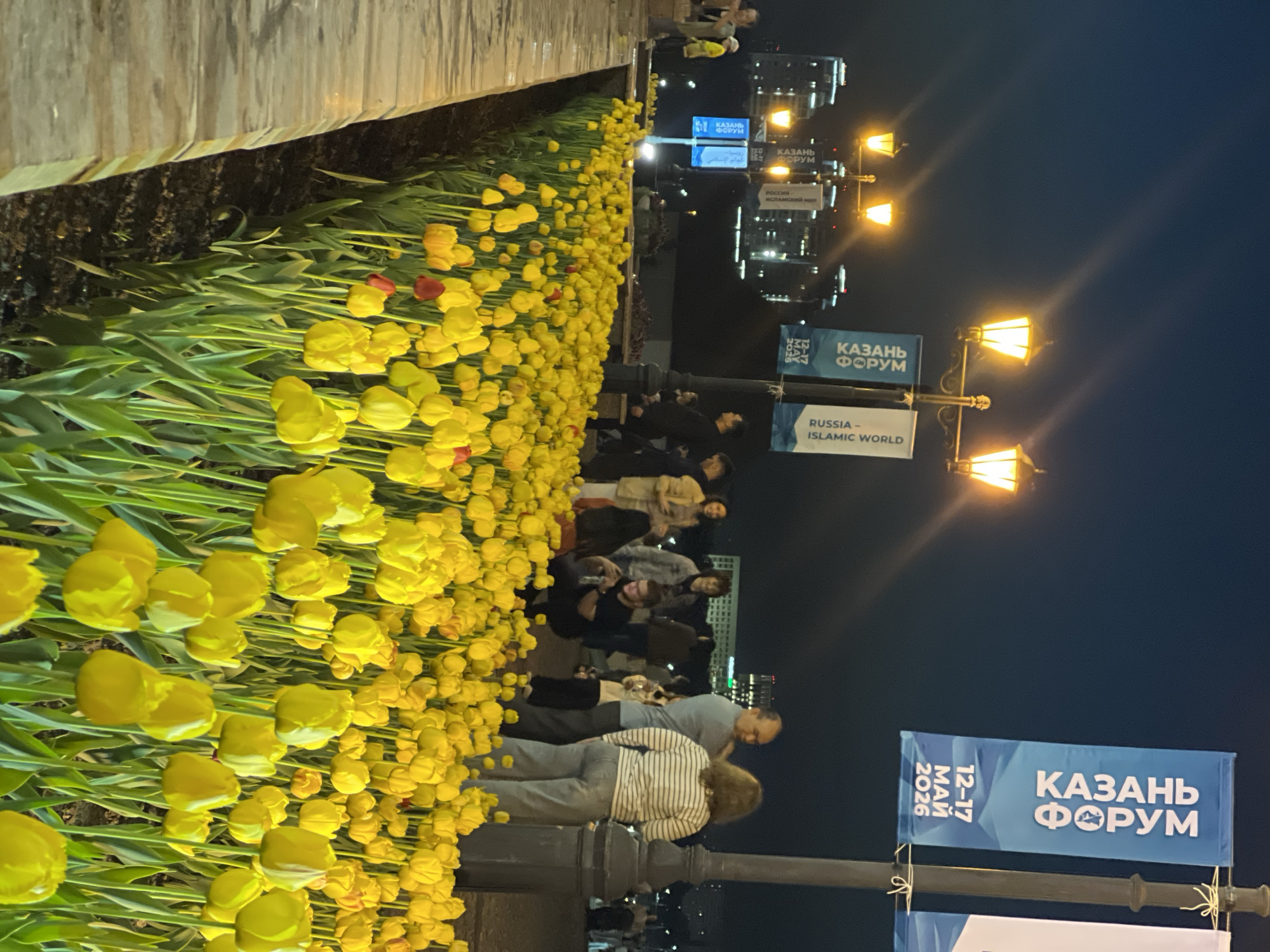 The image shows a nighttime scene in Kazan, Russia, featuring a bed of yellow tulips growing along a walkway lined with streetlights. Several people are strolling along the walkway, seemingly enjoying the evening. Banners promoting the "Kazan Forum" and "Russia - Islamic World" are visible, suggesting a cultural or economic event. One banner includes the dates "12-17 May 2026." The location appears to be an urban area, with buildings visible in the background.