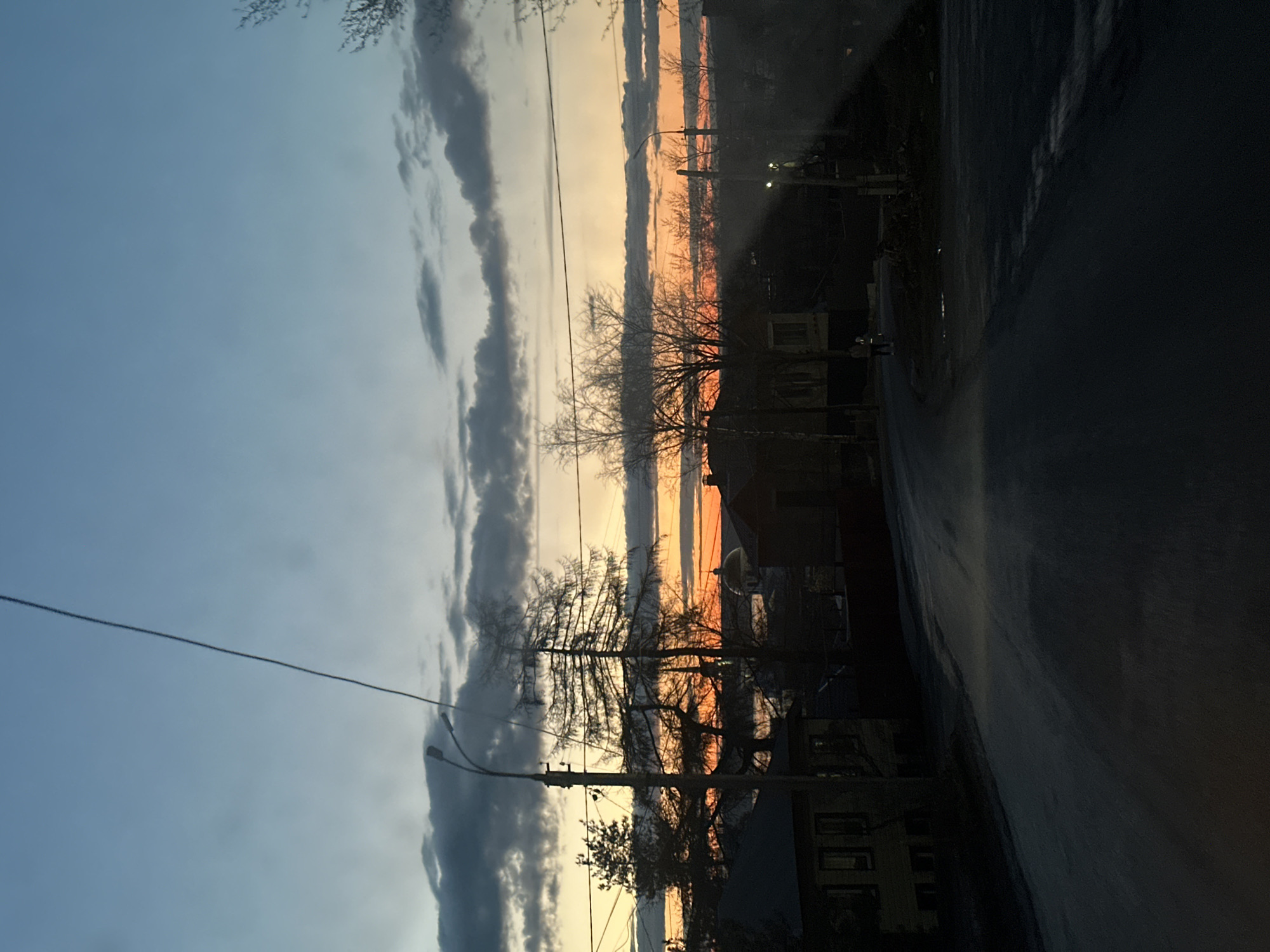 The image captures a serene twilight scene, likely either sunrise or sunset, in Votkinsk, Russia. The sky is a prominent feature, displaying a dramatic gradient from vibrant oranges and yellows near the horizon, indicative of the low sun, blending upwards into cooler blues and grays. Several elongated, dark clouds traverse the sky horizontally, adding texture to the expanse.
In the foreground and midground, numerous bare deciduous trees are silhouetted against the colorful sky, their intricate branch patterns starkly visible without leaves, suggesting a cold season like late autumn, winter, or early spring. Utility poles with wires stretch across the scene, accompanying several streetlights, one of which has a faint glow. The dark outlines of buildings or houses are visible through and beyond the trees, particularly on the right side of the frame, hinting at a residential or urban edge setting. A dark, possibly wet or reflective road or ground occupies the lower portion of the image. No people or vehicles are visible. The scene conveys a quiet, atmospheric moment, emphasizing the natural beauty of the sky contrasting with the dark, silhouetted landscape. There is no visible text in the image.