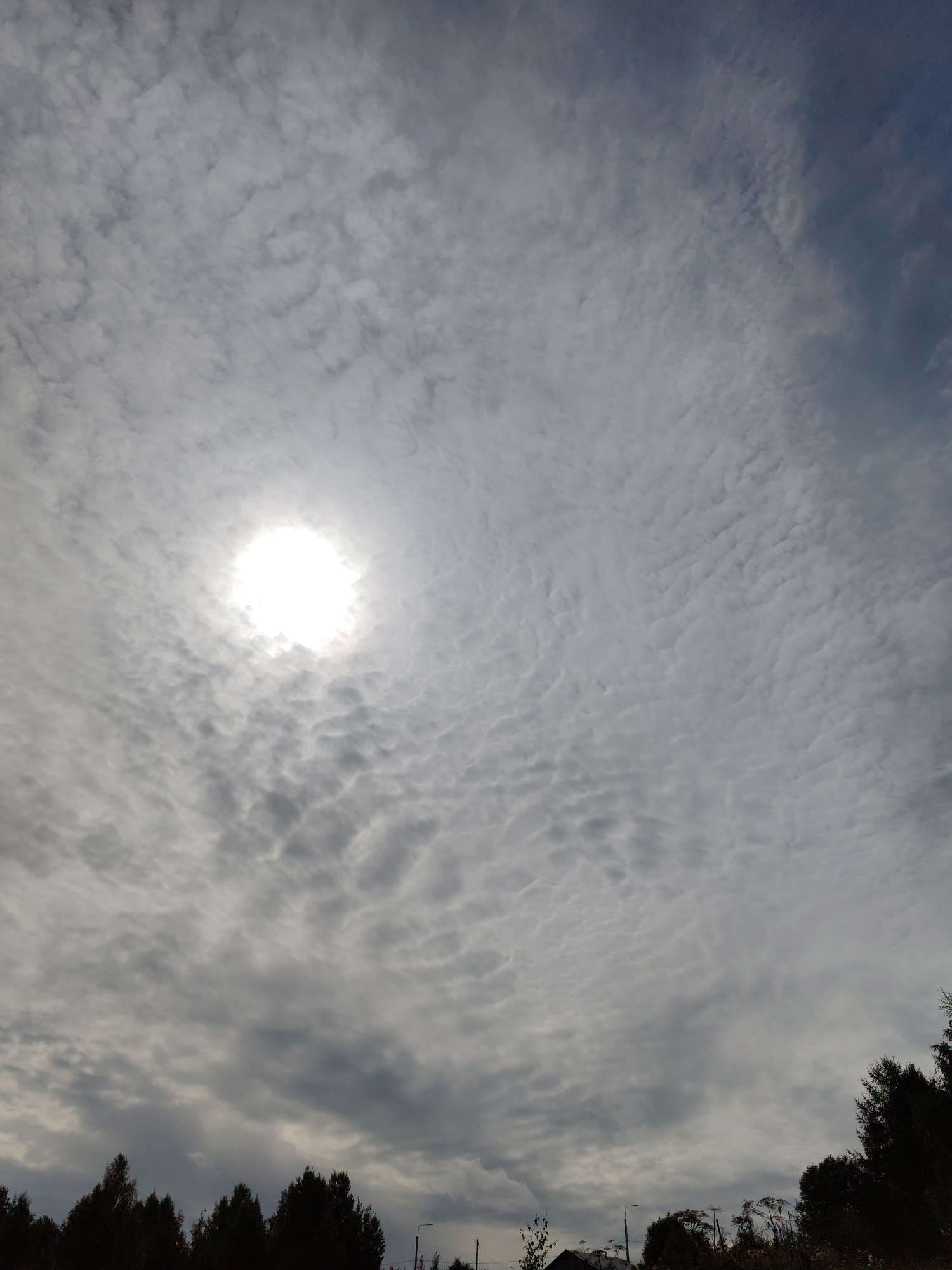 The image captures a cloudy sky with the sun partially obscured by clouds, creating a diffused bright spot. The clouds exhibit a textured, rippled appearance. Along the bottom of the frame, a silhouetted line of trees forms the horizon, with some sparse vegetation and what appear to be utility poles visible against the sky. The scene is devoid of people or specific identifiable landmarks that would pinpoint a location within the city of Чухлэм, Russia.