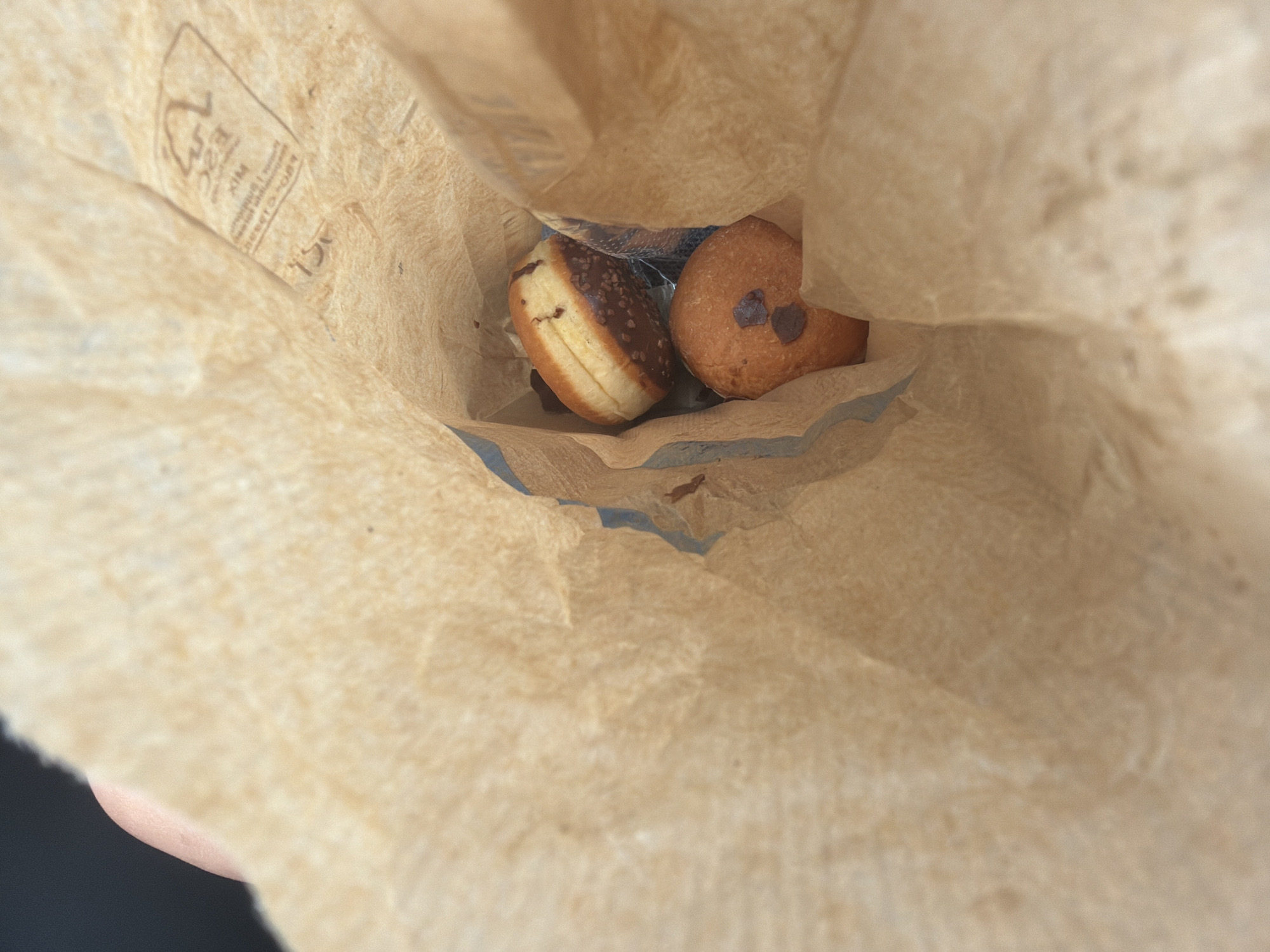 In the city of Rakovski, Bulgaria, an image captures a close-up view from above, looking down into a brown paper bag. Three small donuts are visible within the bag. One donut is positioned at the top, appearing to be a jelly-filled donut with a light-colored dough, a creamy filling peeking out, and its top half coated in chocolate with sprinkles. Below and slightly to the left of the first donut, another donut is visible. This one has a plain, light brown dough with two small chocolate chips on top. A third donut, partially obscured by the bag and the other two, is located at the bottom and to the right, appearing to have a similar plain dough. The paper bag itself has some text and symbols printed on its interior, including what appears to be an FSC logo and the word "MIX" in a rectangular box. The lighting suggests an indoor or shaded outdoor environment.