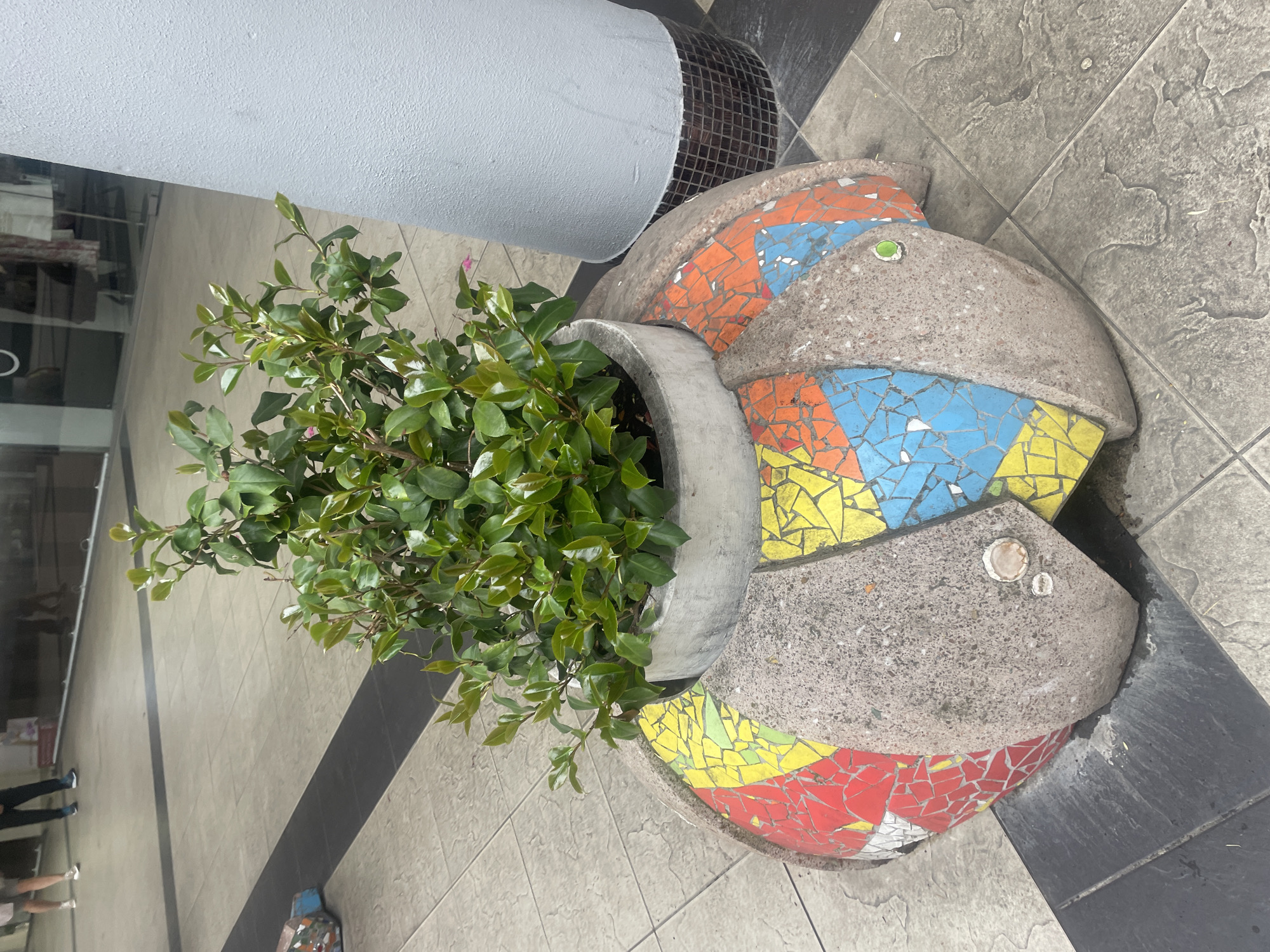 An eye-level, close-up shot captures an ornamental fish sculpture, repurposed as a planter, located in what appears to be a pedestrian area. The sculpture is adorned with a mosaic design comprising red, yellow, blue, and orange tiles. It's made from concrete. The planter is filled with a bushy, green plant. The sculpture is situated next to a cylindrical column or pillar with a reflective surface detail. The environment includes tiled flooring with a pattern of light and dark colored tiles, indicating it might be an indoor or semi-indoor area. The ground is dirty. In the lower-left corner, there's a partial view of people's legs and feet.
While I cannot confirm the specific location in Sochi, Russia, based solely on visual evidence, the combination of the fish sculpture and the mosaic design suggests a connection to a coastal city, and the architectural style hints at a European or Mediterranean influence.