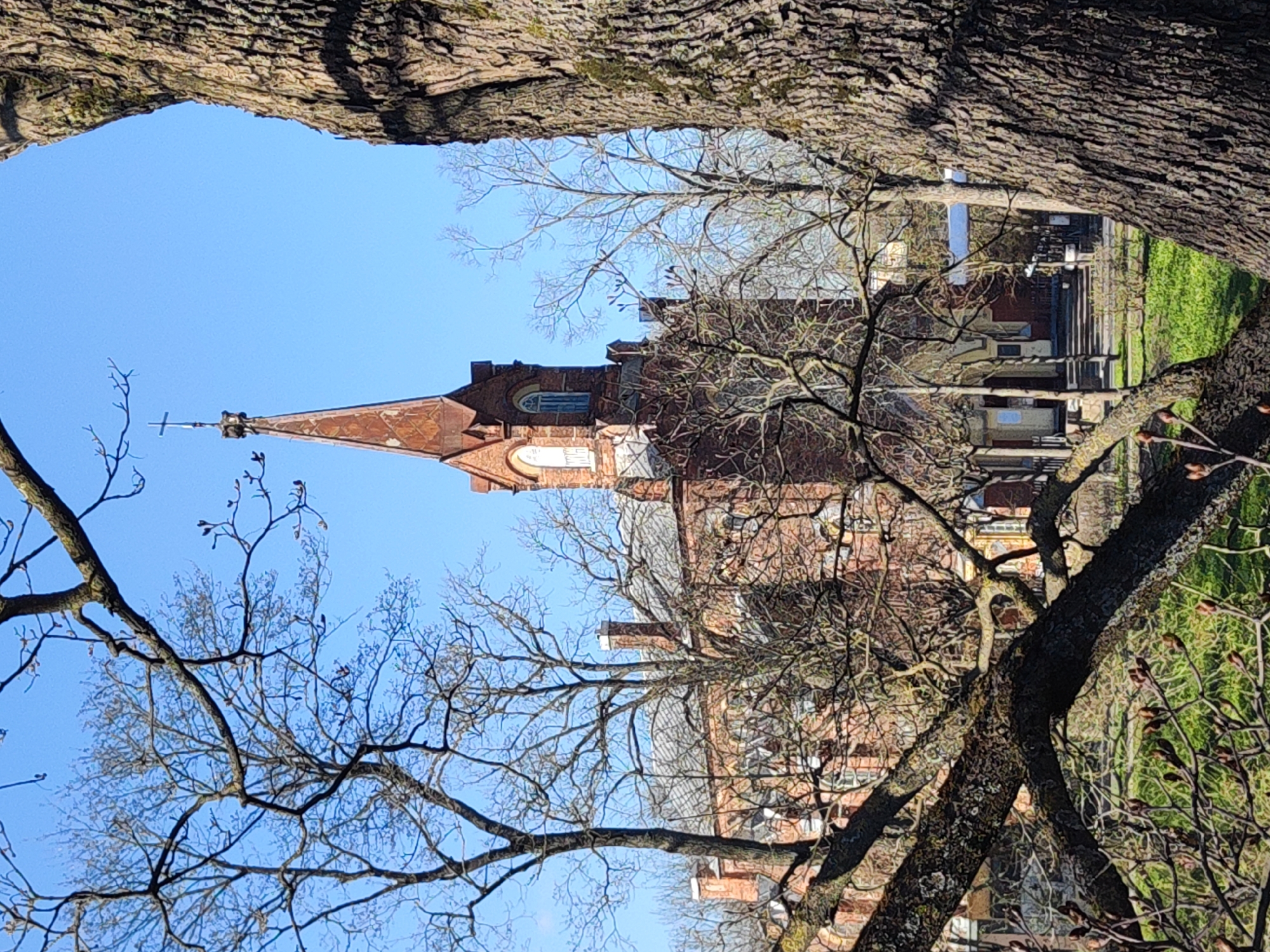 The image captures a serene outdoor scene in Pushkin, Russia, featuring a historic brick building with a spire, framed by the bare branches and trunks of several large trees. The perspective is upward, looking through an opening created by the tree canopy towards the building and sky.
The central subject is a multi-story, red-brick building, likely a church or chapel given its distinctive architecture and the prominent, slender spire crowned with a cross. The spire has a reddish-brown, possibly tiled or shingled, roof with a weathered appearance. Arched windows are visible on the building's facade. To the right of the building, a patch of vibrant green grass suggests a lawn or park area.
Dominating the foreground and partially obscuring the building are numerous trees with thick, textured trunks and intricate networks of bare branches, indicating either late autumn, winter, or early spring. Their leafless state contrasts with the green grass, suggesting early spring when new growth is just beginning or winter with hardy ground cover. The sky above is clear and bright blue, devoid of clouds, implying a sunny day. The scene is devoid of any people or discernible activity. There is no visible text. The strong natural light suggests it is daytime, likely mid-day.