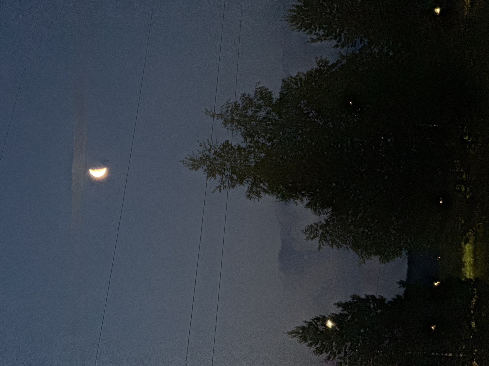 The image depicts a nighttime scene with a crescent moon in the dark sky, partially obscured by a thin cloud. Below the moon, two parallel power lines stretch horizontally across the frame. Silhouetted trees, some appearing to be pine or fir, are visible in the foreground and middle ground. Scattered lights are present at the base of some trees, suggesting artificial illumination in the area. The overall impression is that of a rural or semi-rural setting at dusk or early night. The specific location within Sarapul, Russia, cannot be determined from the visual information alone.