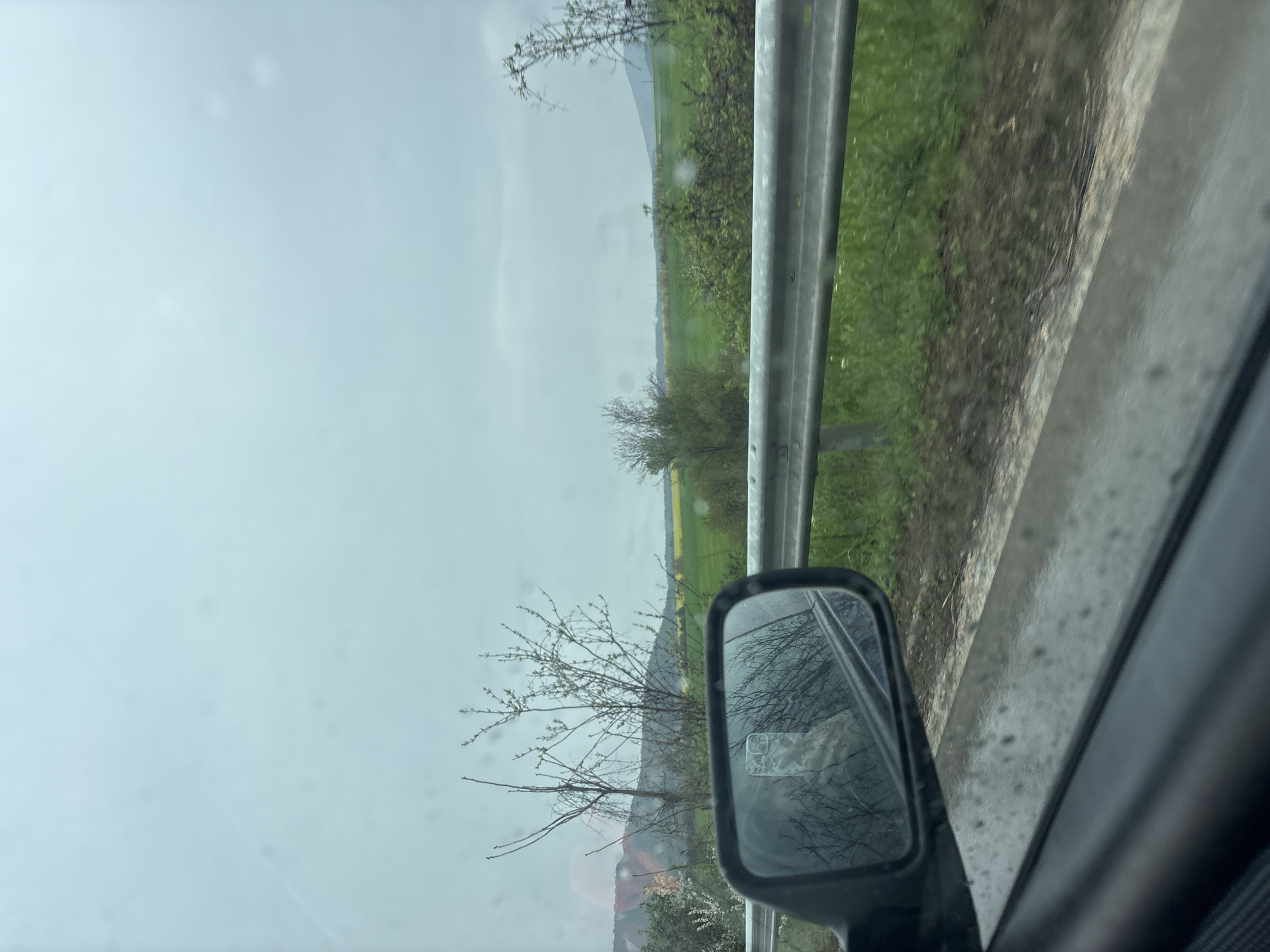 The image, captured from inside a vehicle, presents a view out of a side window onto an overcast, rural landscape. The perspective is from a passenger or driver looking towards the roadside.
In the immediate foreground on the right, parts of the car's interior are visible, including a dark grey window frame and a side mirror. The side mirror reflects the surrounding environment, primarily showing a pattern of bare tree branches and a glimpse of what appears to be a smartphone with a dual-camera setup reflected within it. The car's window and mirror both have visible moisture droplets, suggesting it is raining or has recently rained.
Outside the vehicle, a metallic guardrail runs horizontally across the mid-ground, indicating the edge of a road or highway. Beyond the guardrail, a vast green field stretches into the distance, featuring distinct patches of vibrant yellow flowers, likely canola or rapeseed, which are indicative of spring. Further back, numerous trees with mostly bare branches and some budding foliage are scattered across the landscape. In the far distance, gentle hills or mountains are silhouetted against the muted, light grey-blue sky.
The overall scene conveys a sense of travel through a natural, temperate environment on a cloudy, possibly damp, day. No people are visible, and no discernible text can be read in the image. The time of day appears to be daytime, characterized by soft, diffused light.