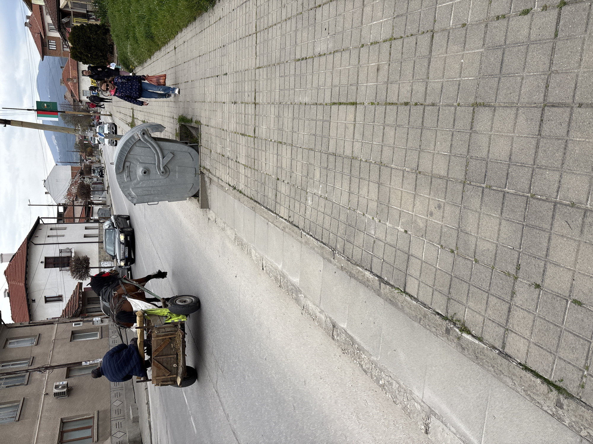 The image captures a bustling street scene in Panagyurishte, Bulgaria, under an overcast sky during the daytime. The perspective looks down a street with buildings lining both sides, culminating in distant mountains.
In the foreground and mid-ground on the right, a gray tiled sidewalk, with occasional patches of grass growing through cracks, runs parallel to the street. A large, grey communal dumpster with a distinct ridged top stands next to the sidewalk.
On the asphalt road, a brown horse is seen pulling a rustic, wooden, two-wheeled cart. A person, dressed in a dark blue jacket, is seated on the cart, facing away from the viewer. Behind the horse-drawn cart, a black car is parked or slowly moving. Further up the street, other vehicles are visible.
Along the left side of the street, various buildings, likely residential, feature multiple windows, some with balconies, and air conditioning units. A tall pole stands prominently on the left side, displaying a Bulgarian flag with vertical green, white, and red stripes. Below the flag, two green rectangular signs with white text are attached to the pole. The top sign clearly reads "ПАНАГЮРИЩЕ" (Panagyurishte), and the bottom sign says "ОБЩИНА" (Municipality).
Further down the sidewalk on the right, two people are walking away from the camera. The closer individual is a woman wearing a patterned blue jacket, blue jeans, and sunglasses. The overall scene presents a mix of traditional transport (horse-drawn cart) with modern urban elements (cars, buildings, flag).