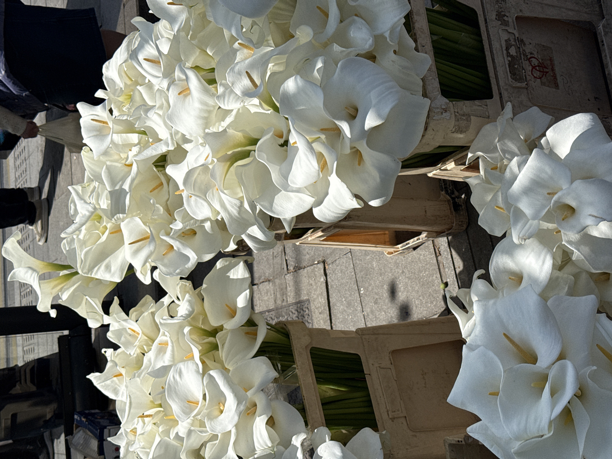 The image shows multiple boxes filled with white Calla Lilies, likely for sale. The boxes are arranged on what appears to be a tiled or concrete surface. Parts of people's legs and lower bodies are visible in the upper left corner, suggesting a market or street vendor setting. The overall setting appears to be urban, and based on the prompt, it is likely in Belgrade, Serbia.