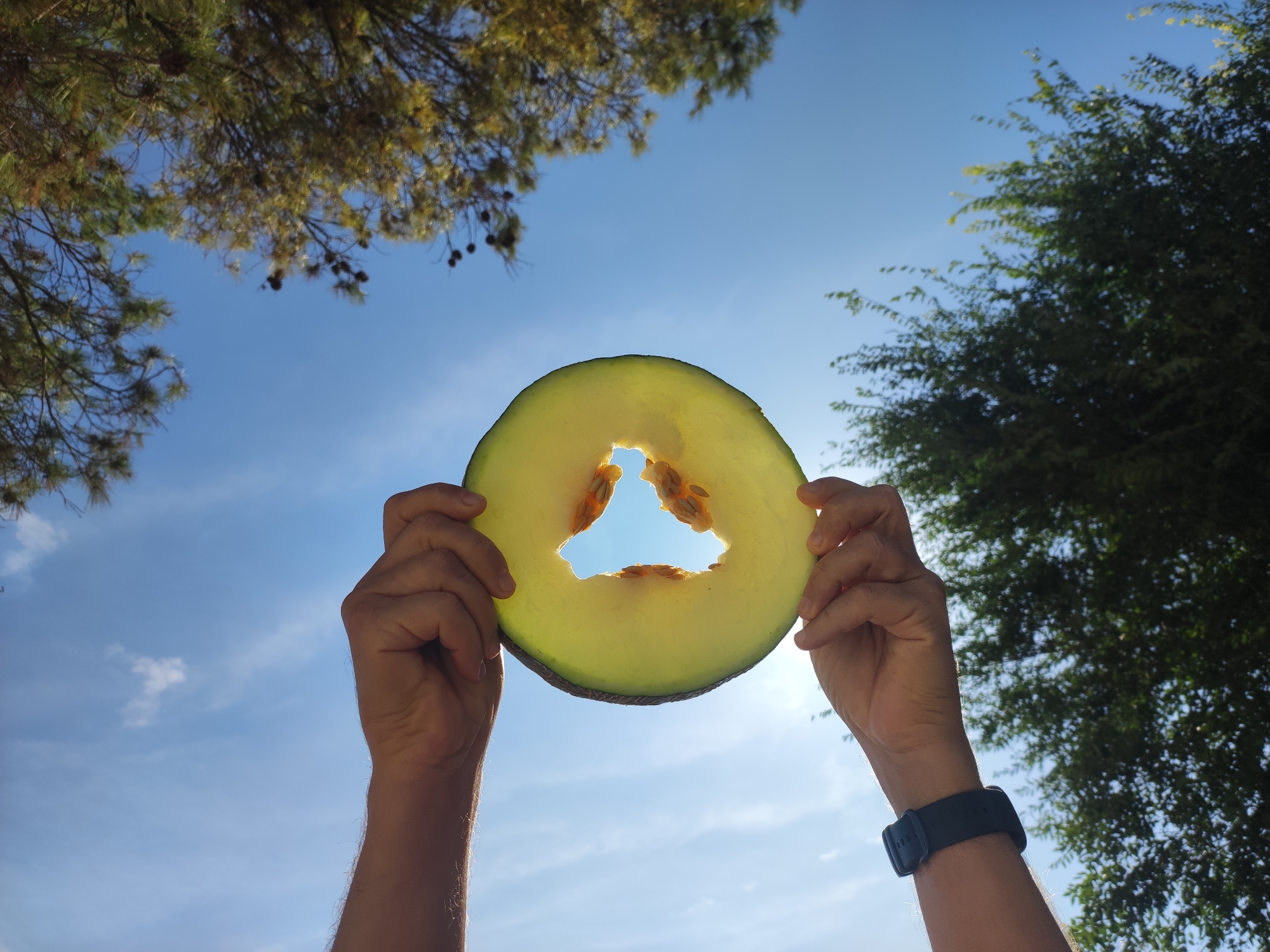The image is a close-up shot of a person's hands holding a slice of cantaloupe against a bright blue sky. The cantaloupe slice is translucent, allowing the sunlight to shine through it, highlighting the seeds and the light green flesh. The sky is partly cloudy, with some sunlight visible, suggesting it is daytime. Trees with green foliage are visible in the background, partially obscuring the sky. The person is wearing a dark-colored watch on their left wrist. The image appears to have been taken outdoors, possibly in a park or garden, and no specific location in Villarejo De Fuentes, Spain is indicated.