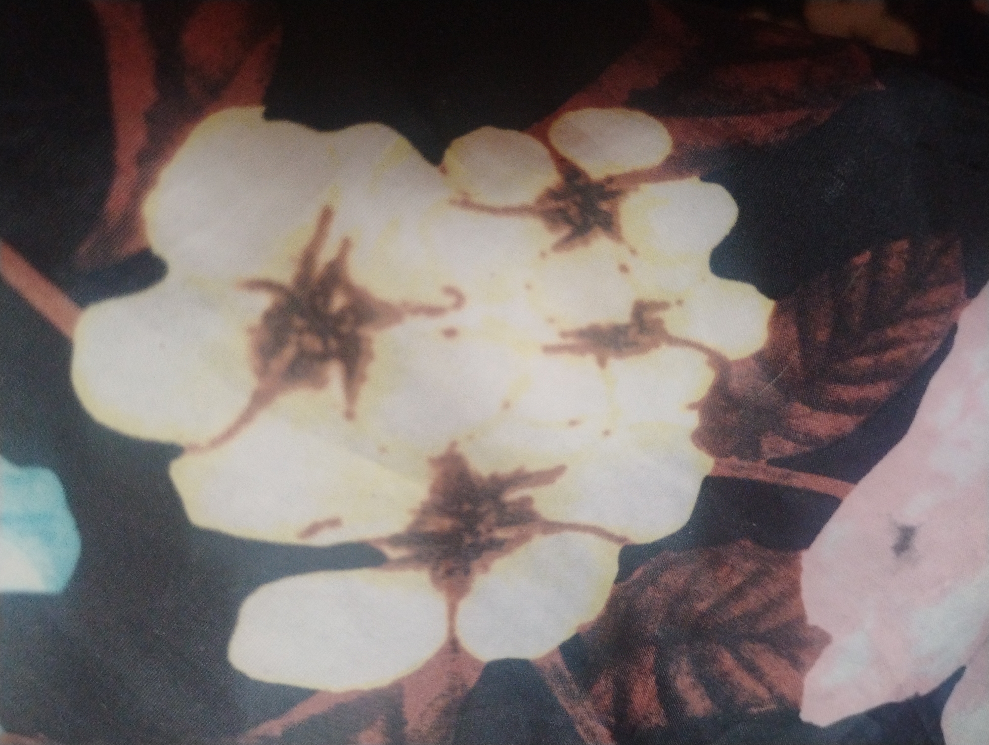 This is a close-up, angled, and slightly blurry photograph of a floral pattern. The dominant elements are several light-colored, possibly white or pale yellow, flowers with dark centers. The flowers appear to have multiple petals, and some show brown or reddish markings, potentially representing veins or shading. Surrounding the flowers are dark brown or black shapes, which seem to be stylized leaves or other foliage. There is also a hint of light blue in the upper left portion of the image, possibly indicating another part of the pattern or an object in the background. The fabric appears to have a visible texture, suggesting it might be a textile print. The image does not depict a scene in Rumyantsevo, Bulgaria, or any identifiable geographical location.