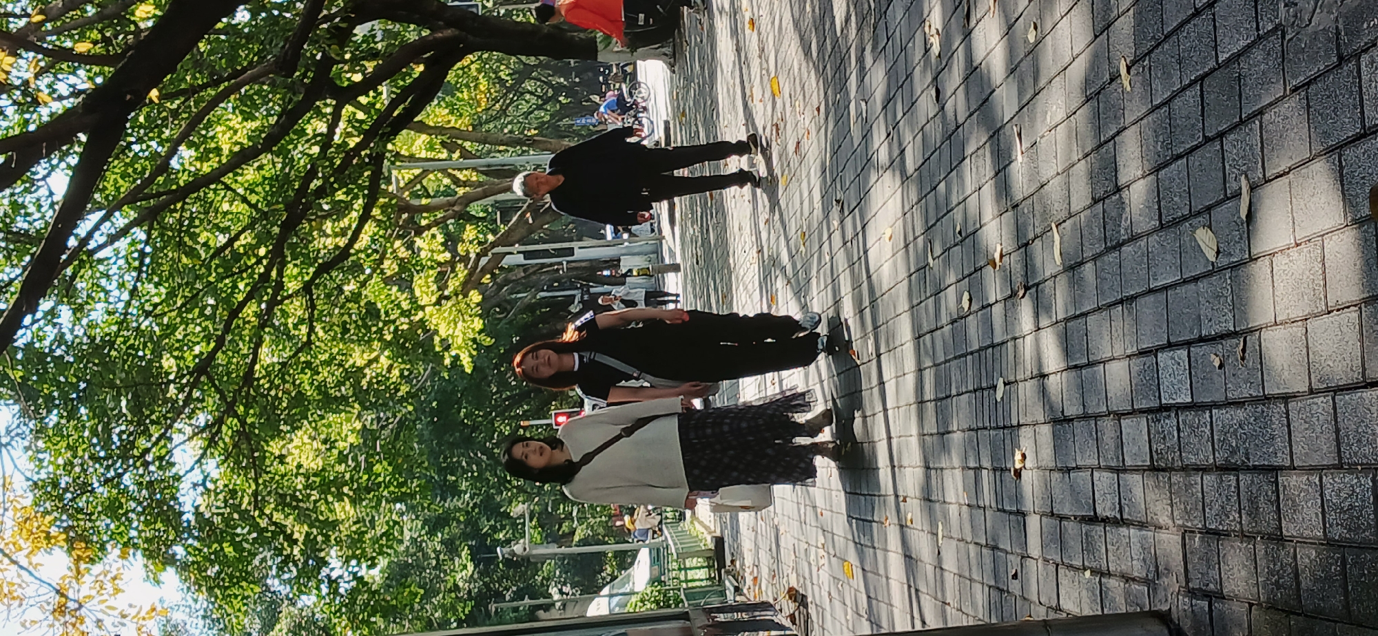 The image, originally rotated, captures a sunlit outdoor scene, likely a pedestrian street or park path in Yuzhong District, China. Three individuals are visible on a paved surface. In the foreground, on the right side, a woman with dark hair wears a light-colored long-sleeved top and a long, dark patterned skirt, carrying a white shoulder bag. Behind her and slightly to the left, another woman with long dark hair is dressed in a black t-shirt with white stripe accents on the sleeves and black pants, with a dark bag slung across her body. Further in the midground, a man with short grey hair, wearing a black jacket and black pants, walks away from the camera.
The path is paved with grey square blocks, across which strong sunlight casts distinct, striped shadows from the overhead trees. Scattered dry leaves are visible on the pavement. To the left, a dense canopy of large trees with vibrant green foliage lines the path, providing shade and dappled light. Patches of bright sky are visible through the leaves. In the background, additional pedestrians, bicycles, and a red traffic light are faintly visible, suggesting an urban setting. The bright sunlight and sharp shadows indicate a clear, sunny day. No discernible text is visible.