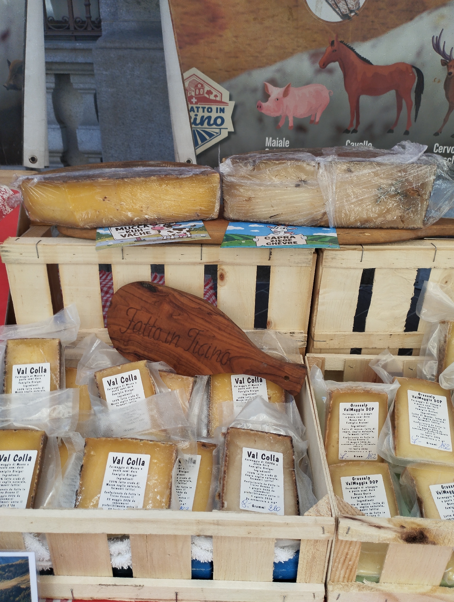 The image shows a display of cheeses for sale, likely at an outdoor market. The cheeses are in wooden crates, some of which are stacked. The cheeses are wrapped in plastic and have labels indicating their origin and type. One prominent cheese is labeled "Val Colla" and another is labeled "Grossalp Valmagggia DOP". There is also a wooden board with "Fatto in Ticino" carved into it, suggesting the cheeses are from the Ticino canton of Switzerland. In the background, there is a sign with illustrations of farm animals, including a pig, a horse, and a deer. The overall impression is that of a food vendor at a local market in Ticino, Switzerland. The scene is well-lit, and the focus is on the cheese products. There are no people visible in the image.