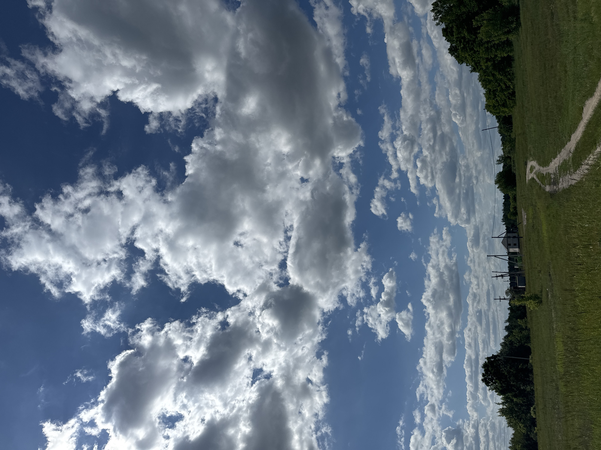 The image shows a rural landscape under a partly cloudy sky. In the foreground, a dirt road winds through a grassy field. In the middle ground, a line of trees forms a border along the horizon, with a few scattered houses and utility poles visible amongst them. The sky is a vibrant blue, filled with large, fluffy white and gray clouds that cast shadows on the landscape below. The overall impression is one of a bright, sunny day in a tranquil, natural setting.
