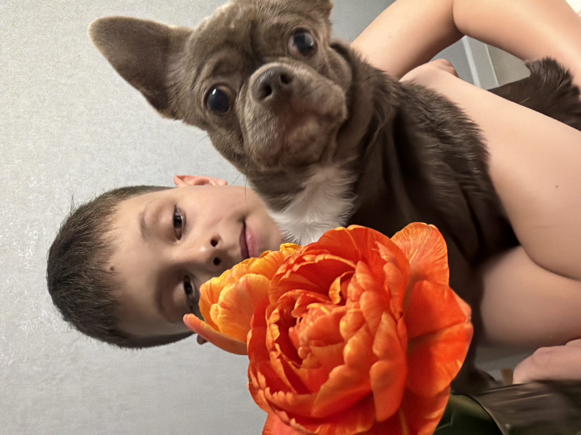 A boy is holding a brown dog and a vibrant orange flower. The boy's face is visible, along with part of his arm. The dog has a white patch on its chest. The scene is cropped closely, showing the subjects against a neutral background. No information indicates this picture was taken in Votkinsk, Russia.