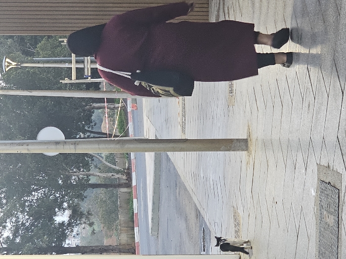 A person in a maroon coat and dark head covering walks along a tiled sidewalk. They carry a dark bag with a light-colored strap. A small black and white dog stands on the sidewalk near the bottom of the frame. Trees and greenery fill the background, with a street and a few buildings visible in the distance. A tall metal post with a circular light fixture is prominently positioned in the middle ground.