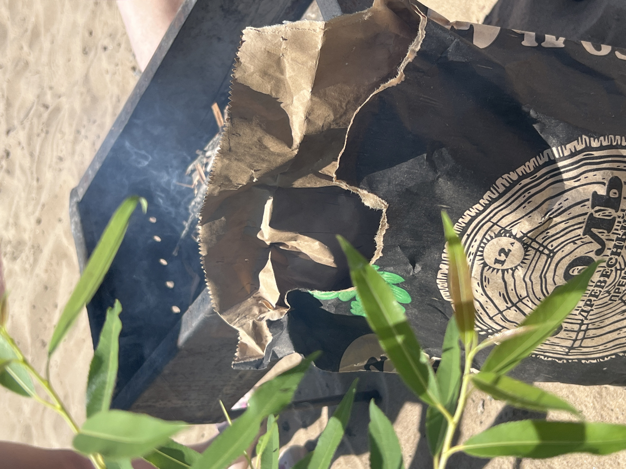 In Khabarovsk, Russia, a charcoal bag lies on sandy ground near an open-air barbecue pit. Thin green leaves from a nearby plant are visible in the foreground, partially obscuring the scene. The barbecue pit contains smoldering embers, emitting a wispy trail of smoke that drifts upwards. The charcoal bag, made of paper, is crumpled and appears to be open, with some of its contents exposed. The bag is black and features a circular design resembling a tree ring with the number "12" inside a sun-like emblem and text written in Cyrillic script. The sandy environment suggests an outdoor recreational area, possibly a beach or park.