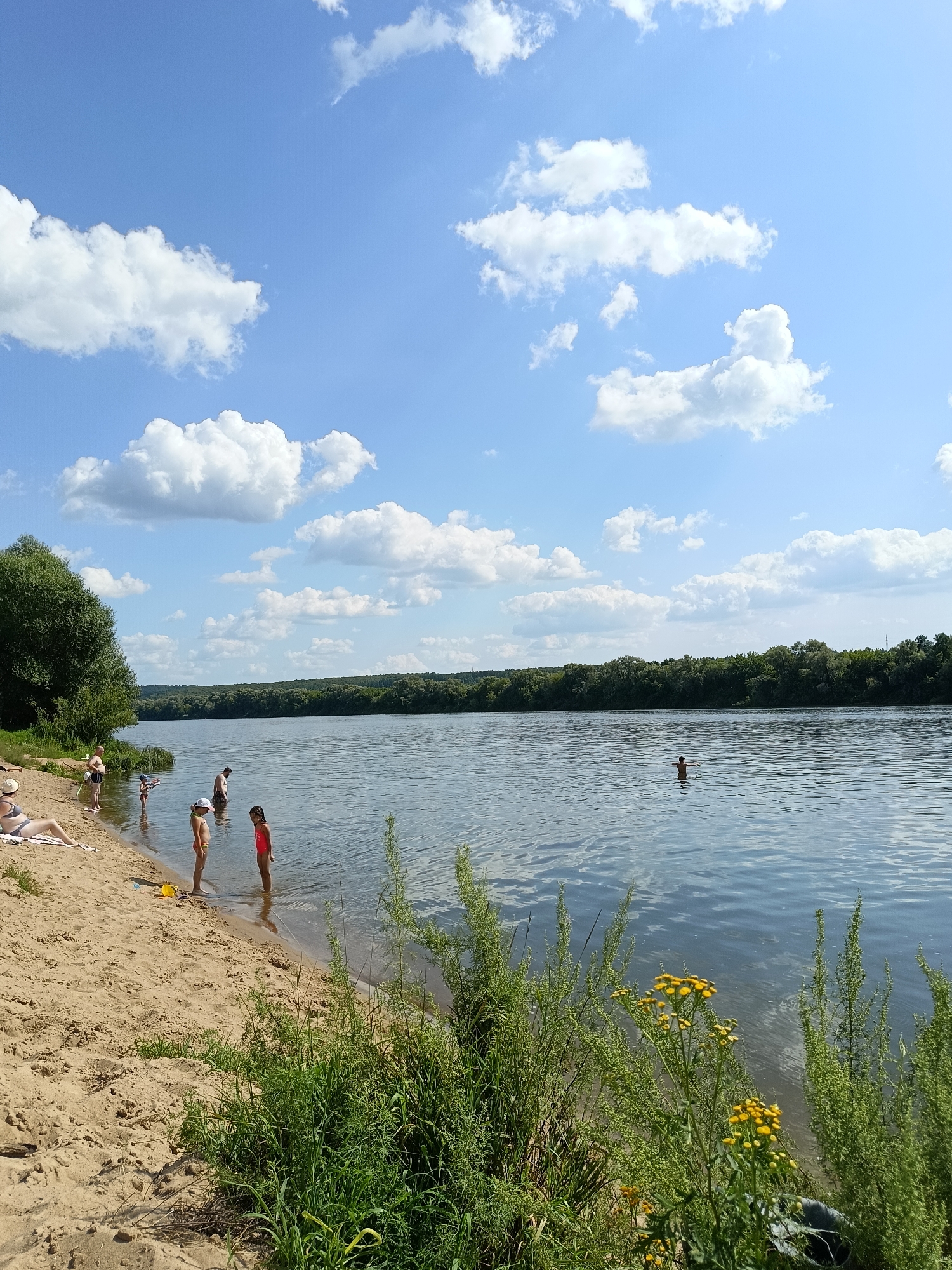 The image depicts a sunny day at a sandy beach on a wide river. In the foreground, lush green grass and yellow wildflowers line the edge of the water. The river's surface is calm with ripples reflecting the blue sky and white clouds. On the sandy shore, several people are visible. A woman in a dark bikini lies on a towel, facing away from the camera. Further down the beach, a group of children and adults are wading in the shallow water. One man is standing in the water with his back to the camera. In the distance, across the river, a dense line of green trees forms the opposite bank. The sky is a vibrant blue, dotted with fluffy white cumulus clouds. The scene suggests a recreational setting, likely a public beach or a popular swimming spot. The image appears to be taken from a slightly elevated perspective looking towards the river. There is no explicit indication of the location being in the city of Никифорово, Russia, but it is a plausible setting for such a scene.