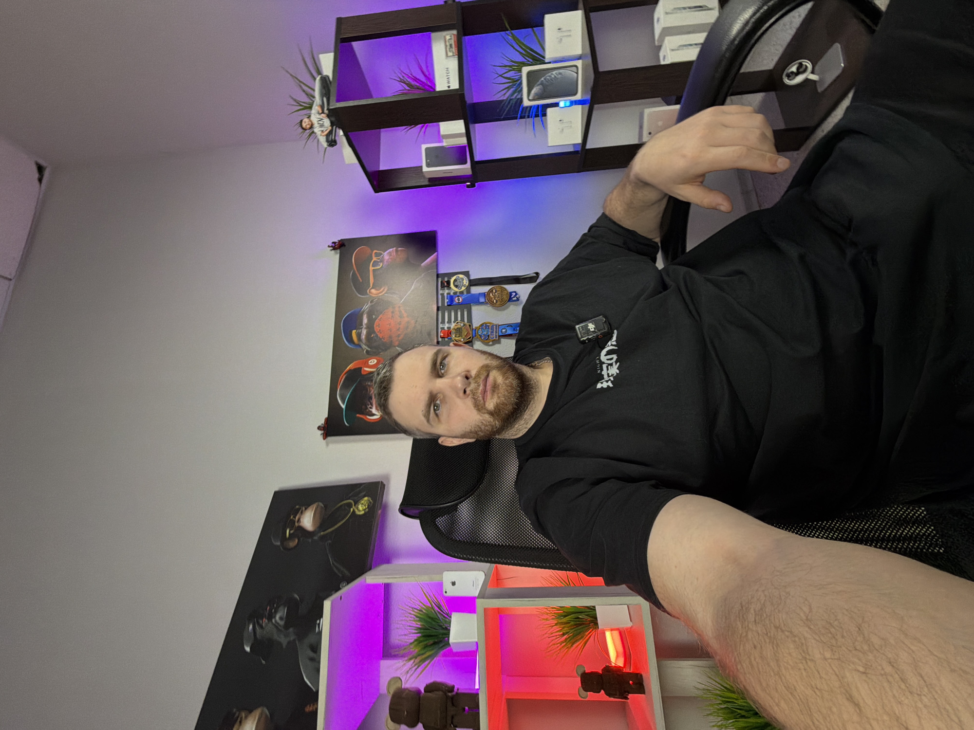 An adult male, Caucasian, with a short brown beard and brown hair, is seated in a black office chair, capturing a selfie-style photograph. He wears a black t-shirt with a small black clip-on microphone attached to the collar. His right arm, visible with light hair, is extended towards the camera. He looks directly forward with a neutral expression.
The scene is an indoor room in the city of Unknown, Unknown, featuring white walls and a light-colored floor. The room is configured with two distinct vertical shelving units and wall art.
On the left, a light-colored, multi-tiered shelving unit is present. The top and middle shelves are illuminated with pink/red LED lighting. Visible items include two brown Bearbrick-style figures, two small potted artificial plants, and a white older-model iPhone. A small red glowing object is also on the middle shelf.
On the right, a dark-colored, multi-tiered shelving unit is present. The shelves are illuminated with purple/blue LED lighting. Visible items include a small figurine on an artificial plant on the top, an artificial plant on the middle shelf, and multiple white retail boxes, including what appear to be iPhones, Apple Watches, and AirPods.
The wall behind the subject displays two large framed prints depicting stylized ape figures, resembling Bored Ape Yacht Club NFTs. Between the shelving units, three medals or watch-like items are hung on the wall. A small white stand with a circular attachment is visible on the floor or a low surface in the bottom right corner.