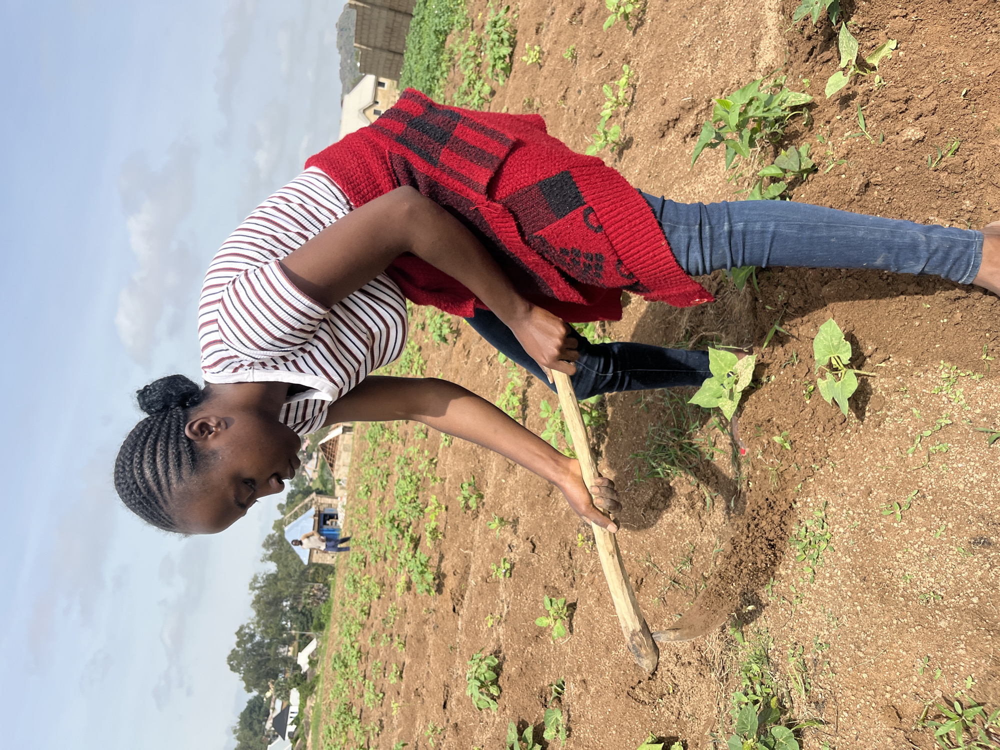 In Bukuru, Nigeria, under a partly cloudy sky, a young Black woman is depicted in a field of young plants. She is wearing a horizontally striped t-shirt in white, red, and dark brown, with a red and black patterned shawl or sweater tied around her waist. Her dark hair is styled in braids gathered into a bun. She is actively engaged in tilling the soil with a traditional hoe, its wooden handle held in her hands and the metal blade digging into the reddish-brown earth. The field is lined with rows of small green plants, indicating agricultural activity. In the background, a few small structures, possibly homes, are visible, along with trees and a person in the distance near a building with a blue roof. The overall scene captures a moment of agricultural labor in a rural or semi-rural setting.