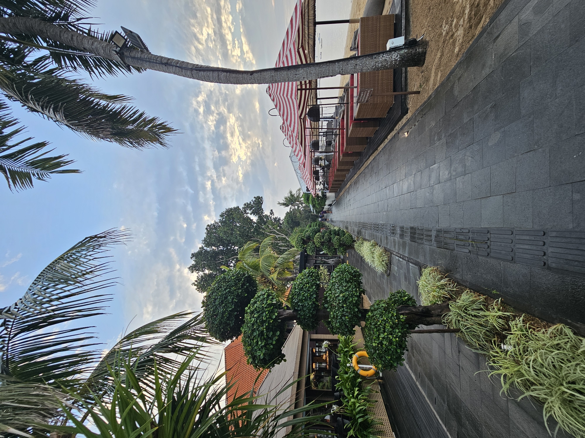 The image depicts a seaside walkway in Denpasar, Indonesia, likely near a restaurant or beach club. The scene is set under a cloudy sky, with the early morning or late afternoon light casting a soft glow. The walkway is paved with dark grey tiles.
On the left side of the walkway, there is a building with a reddish-tiled roof, featuring large windows and outdoor seating areas. Several potted plants and a bright orange life preserver are visible near the building. A prominent feature is a series of meticulously trimmed topiaries, sculpted into layered, rounded shapes, interspersed with lighter green foliage.
The right side of the walkway is lined with a row of outdoor seating arrangements, each consisting of rattan furniture with red cushions, covered by striped red and white umbrellas. This area is situated on a sandy beach, with the ocean visible in the background. A large palm tree, its trunk rough and textured, stands near the seating area, with a light fixture attached to it. The beach appears calm, with a few small boats visible in the distance on the water.
A few people are walking along the distant part of the walkway, suggesting a public or semi-public space. The overall impression is one of a serene, tropical environment designed for relaxation and dining by the sea.