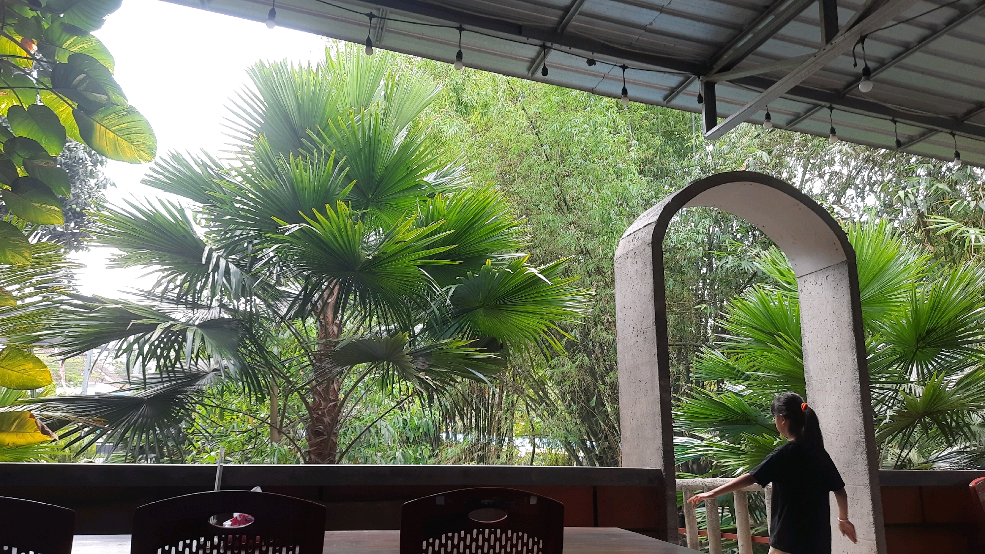 The image shows a young girl in a black t-shirt and light-colored shorts standing on a balcony overlooking a lush green outdoor setting. She is positioned on the right side of the frame, facing away from the camera and towards the greenery. In the foreground, partially visible, are dark-colored chairs and a table, suggesting a dining or seating area.
The background is dominated by dense tropical vegetation, including large palm trees with fan-shaped leaves and tall bamboo stalks. An arched, concrete structure frames part of the view on the right side. The scene appears to be outdoors, possibly a restaurant or cafe with an open-air or covered patio, indicated by the metal roof structure visible at the top of the image. String lights are also hanging from the roof. The lighting suggests it might be daytime, with bright, possibly overcast, sky visible through the foliage.
The specific location is identified as being in the city of Jajag, Indonesia.