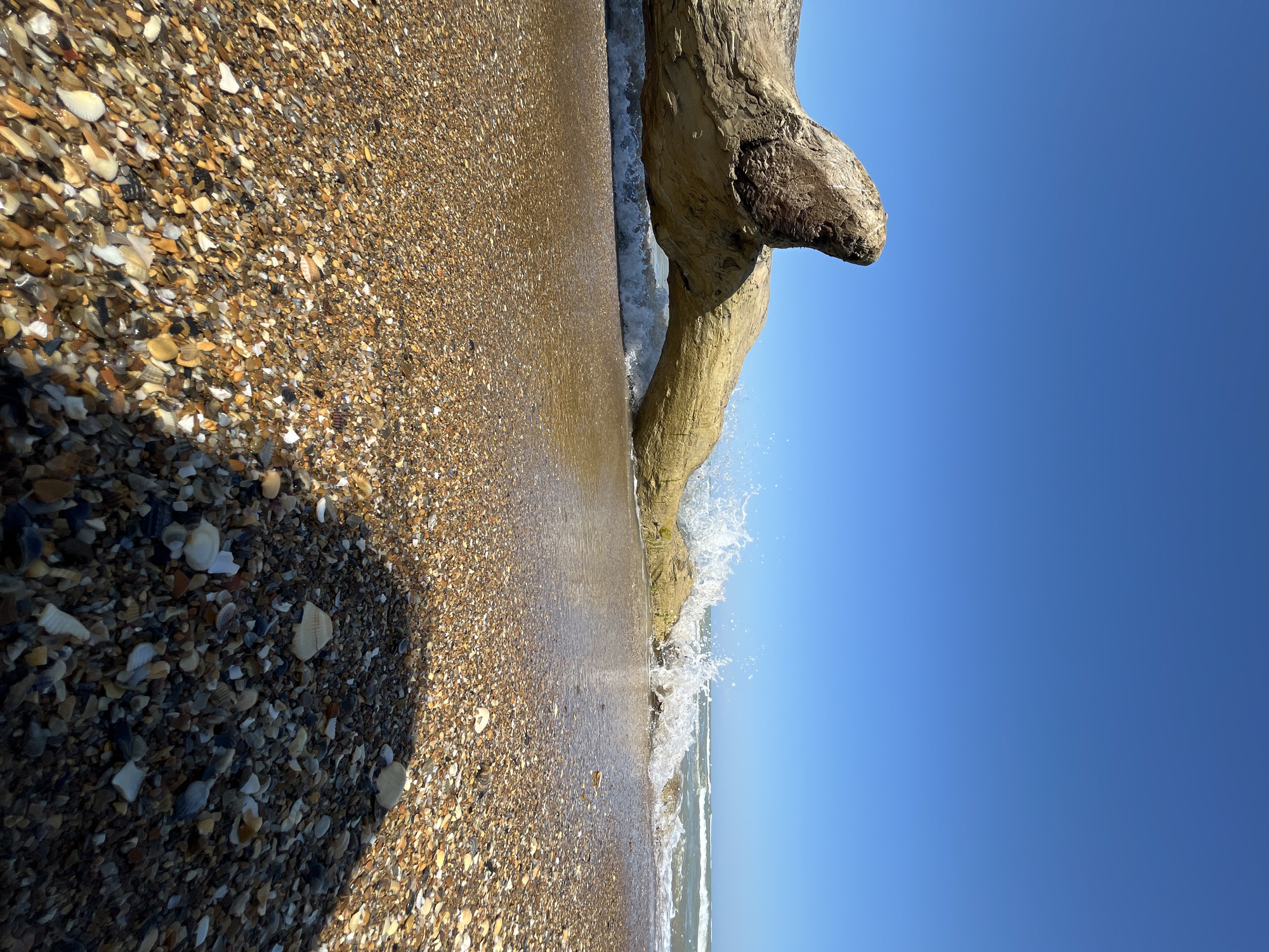 A tilted eye-level, wide-angle shot captures a shoreline where a log or piece of driftwood is being splashed by waves. The left side of the image shows a beach surface covered in a mix of shells and pebbles, wet from the receding tide. Moving to the right, a thin layer of water stretches towards the clear blue sky, reflecting the sky's color. The log or driftwood, positioned in the upper right, is partially submerged in the water. A section of the log stands upright, interrupting the water's surface. Splashes of water are visible around the base of the log, indicating the impact of the waves. No people are visible. The scene's location is unknown, although the prompt suggests Kaspiysk, Russia.
