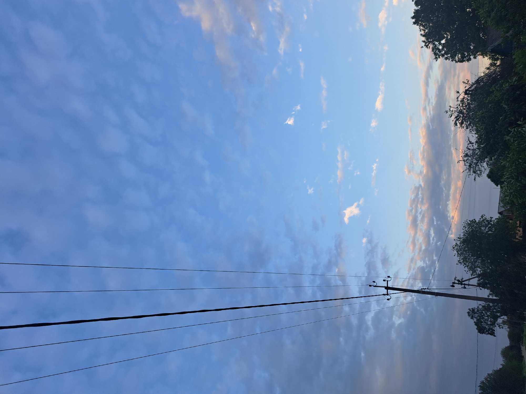The image depicts a sky with clouds, power lines, and a utility pole. The sky is blue with varying cloud formations, some tinted with orange hues, possibly indicating sunset or sunrise. Several black power lines run horizontally across the lower portion of the frame. A utility pole stands on the right side of the image. On the right edge of the photo are trees. The location is Leningradskaya, Russia. There are no people or interactions visible.