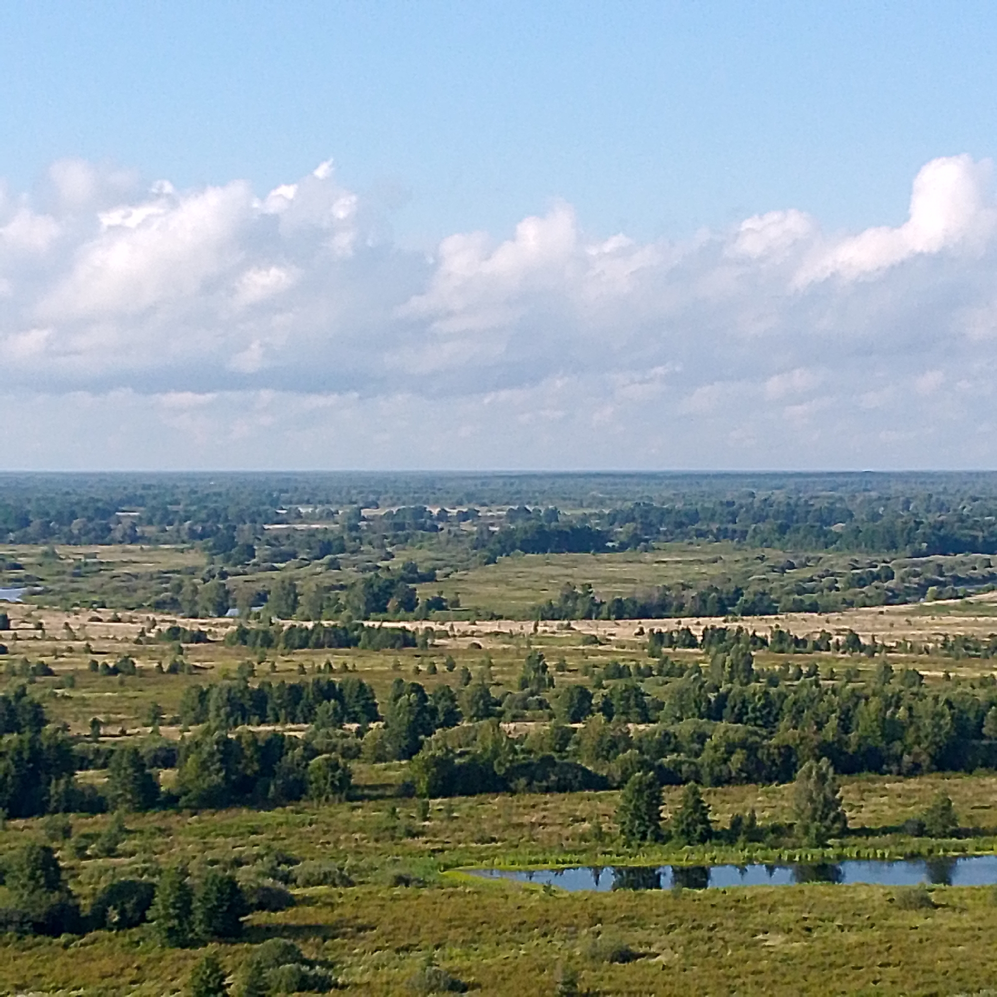 This is a wide-angle, aerial view of a rural landscape under a partly cloudy sky. The scene depicts a vast expanse of vegetation, characterized by various shades of green and brown, suggesting a mix of grasslands, bushes, and scattered trees. In the foreground, a body of water, likely a river or lake, is visible, its surface reflecting the sky. The water is partially surrounded by dense vegetation. Further into the landscape, the terrain appears more varied, with patches of lighter brown and darker green areas that could represent fields, meadows, or different types of foliage. A dense line of trees forms the horizon, extending across the entire width of the image, creating a layered effect with the sky. The sky itself is a light blue, with scattered white and gray clouds, indicating fair weather. The image appears to be taken from a high vantage point, such as a drone or a high hill, offering a panoramic perspective of the natural environment. The location is identified as the city of Vyazniki, Russia, suggesting this is a view of the outskirts or surrounding natural areas of the city. There are no people, animals, or man-made structures visible in this natural landscape.
