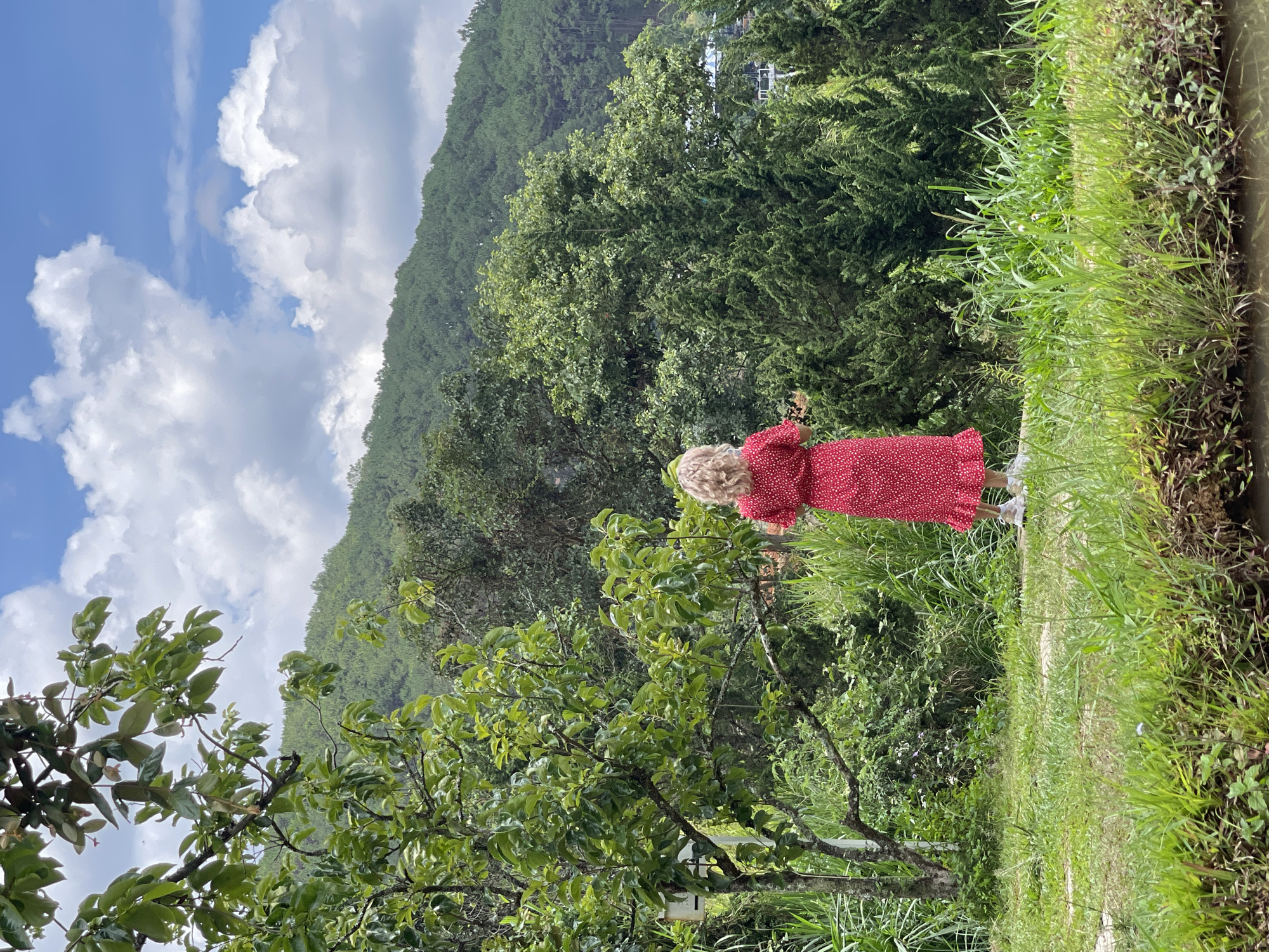 A person in a red polka dot dress stands on a grassy bank, their back to the viewer. The scene includes lush vegetation, tall grasses, and a tree with green leaves in the foreground. Beyond the immediate greenery, there is a dense forest covering a hillside under a partly cloudy sky. The location is likely in a natural area near the city of Da Lat, Vietnam, suggested by the local vegetation and landscape. The person appears to be enjoying the scenery or taking in the view.
