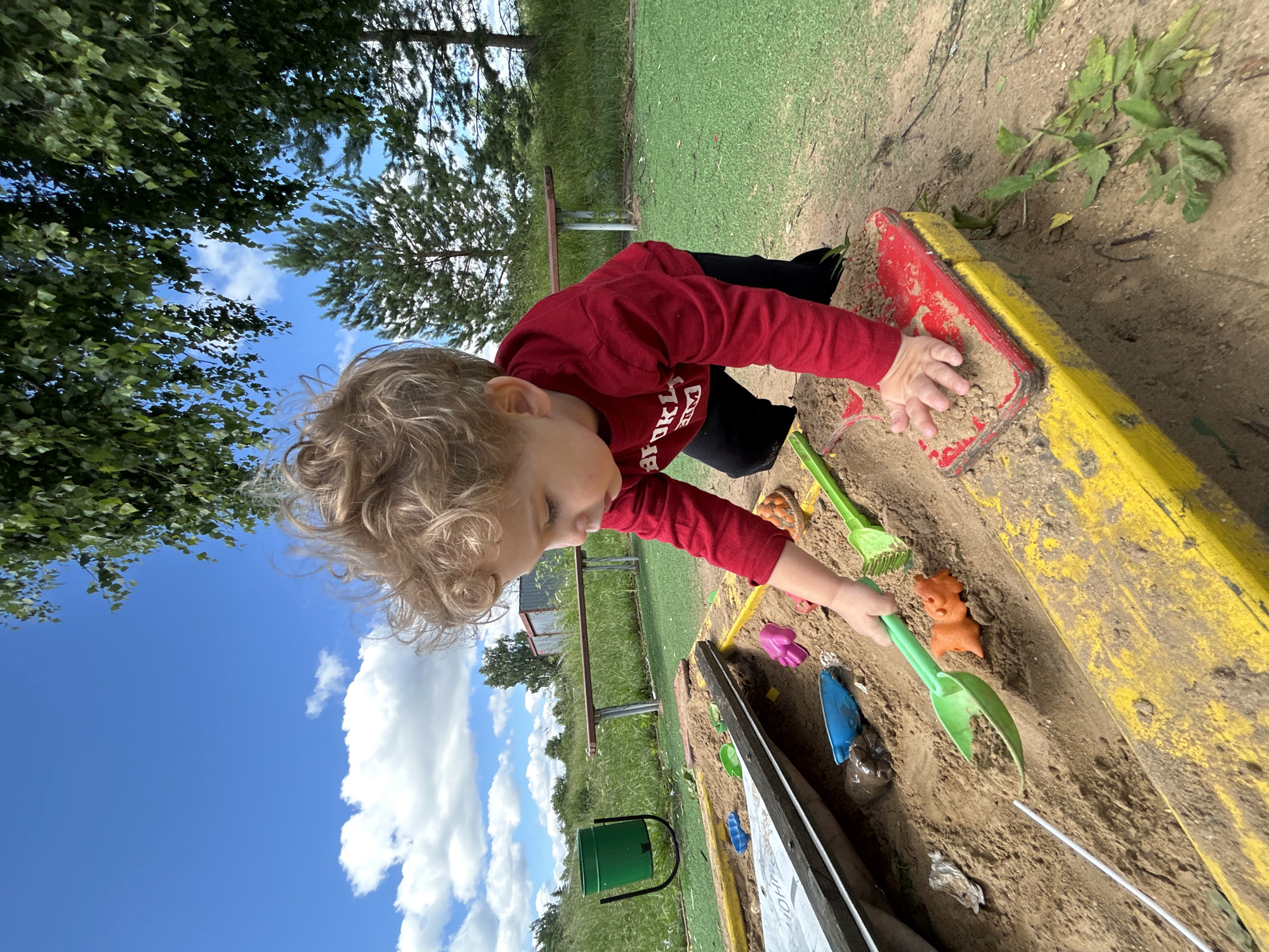 The image depicts a young child playing in a sandbox. The child, with curly blonde hair, is wearing a red long-sleeved shirt and black pants. The sandbox is filled with sand and contains various toys, including a green shovel and an orange pig-shaped toy. The child is actively engaged in playing with the sand and toys. The background shows a grassy area, trees, a bench, and a green bin, suggesting an outdoor public space. The sky is blue with some clouds. There is no specific information in the image to indicate the location is the city of Борщевка Малая, Russia.