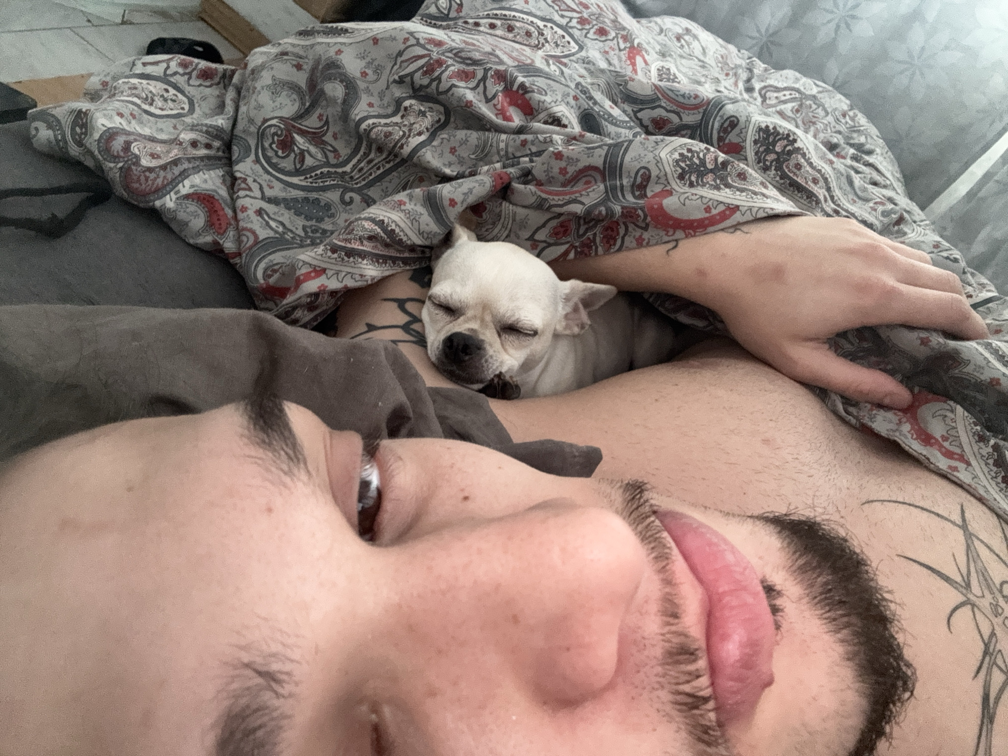 A close-up, low-angle shot captures a person lying in bed with their eyes partially closed and mouth open, as if sleeping or resting. The person has light skin, dark eyebrows, and is adorned with tattoos on their chest and arm. Nestled between the person's chest and a patterned blanket, a small, white French bulldog sleeps soundly with its eyes closed. The blanket has a paisley pattern in shades of red, grey, and black. The overall impression is one of intimacy and comfort. The location in Sofia, Bulgaria, cannot be determined from the image itself.