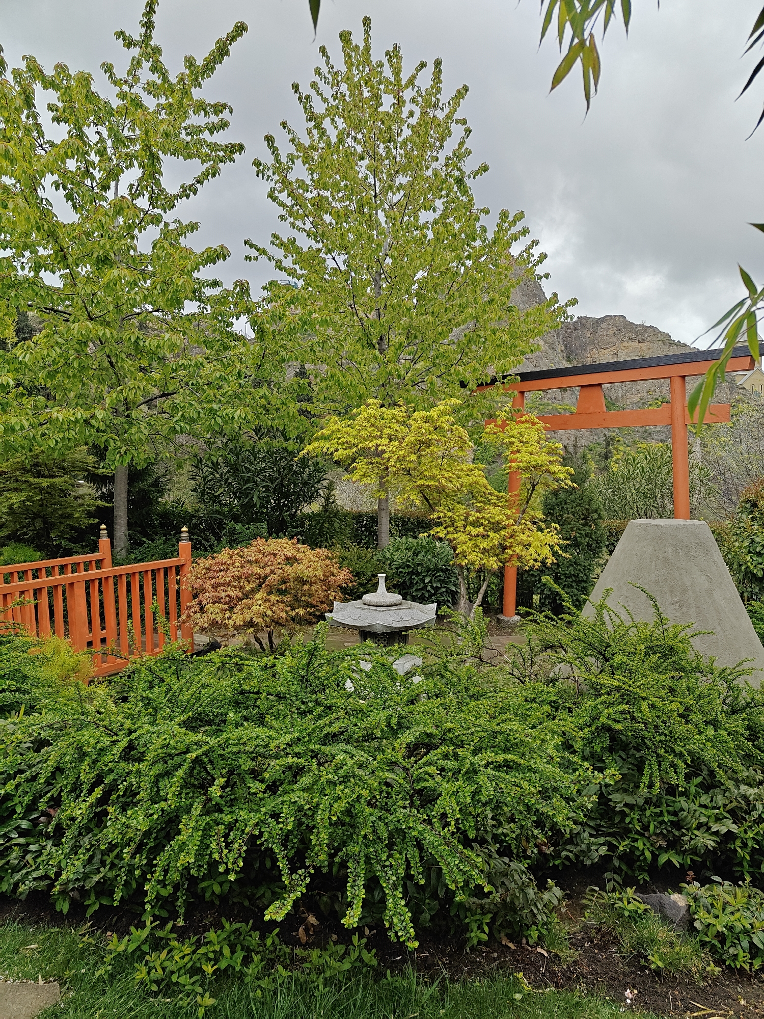The image presents a serene Japanese-style garden, likely located in Tbilisi, Georgia, under an overcast sky. The foreground is filled with dense, lush green shrubs and groundcover, creating a rich, vibrant texture.
In the midground, key elements of a Japanese garden are visible. A prominent orange traditional torii gate stands on the right, featuring dark crossbeams contrasting with its brighter orange uprights. To its immediate right, a conical concrete structure, evoking the form of Mount Fuji, rises from the greenery. To the left of the torii, a vibrant yellow-green Japanese maple tree with delicate, bright leaves adds a focal point. Near the center, a tiered stone lantern is nestled among the foliage. On the far left, an orange wooden bridge or railing with vertical balusters and decorative gold finials extends into the scene. A smaller, reddish-orange Japanese maple or similar shrub adds a contrasting warm color near the bridge.
The background features several taller trees with fresh, bright green leaves, indicating lush growth. Beyond the garden, rugged, light-colored mountains with visible rocky outcrops provide a natural and dramatic backdrop. The sky is entirely overcast with soft, grey clouds, suggesting daytime but diffused light.
No people are visible in the scene, and there is no discernible text. The overall atmosphere is one of tranquility and carefully cultivated natural beauty, characteristic of traditional Japanese garden design. The absence of human activity contributes to the peaceful and contemplative mood of the setting.