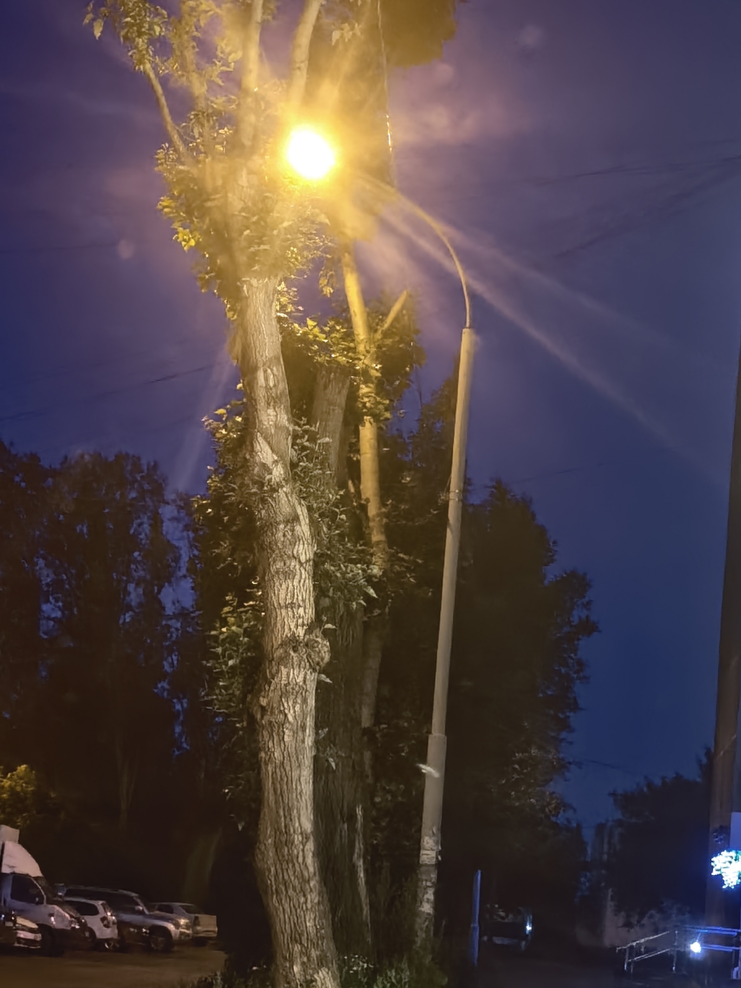 The image depicts a nighttime scene in an outdoor urban environment, likely a street or parking area. The primary subjects are several trees, illuminated by a bright, yellowish streetlamp that casts strong beams of light and creates lens flare effects across the image. The sky is a deep blue, indicating it is night, with some wispy clouds visible. In the foreground, there are several vehicles parked, including a white van and other cars. A tall, slender lamppost is visible to the right of the trees, and another lamppost with a curved arm is also present. The overall impression is one of a quiet, potentially residential or commercial area at night, with artificial lighting playing a dominant role in the visual composition. The location is identified as Unknown, Unknown.