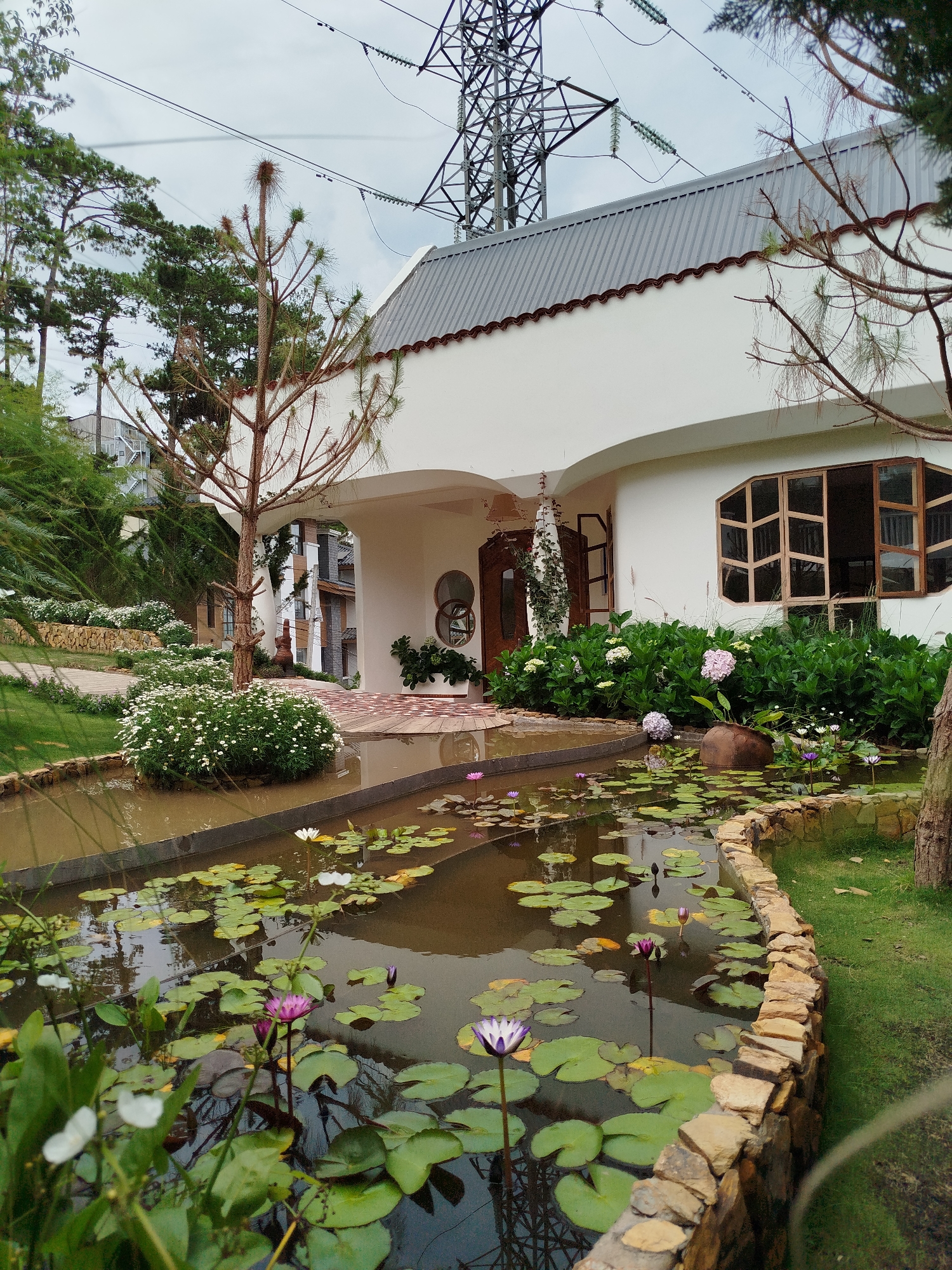 The image captures a serene garden setting in Da Lat, Vietnam, featuring a pond filled with water lilies in the foreground. The pond's water is slightly murky, and its edges are defined by a stone border. Lily pads float on the surface, interspersed with white and purple water lilies. Behind the pond, a low stone wall separates the water from a patch of green grass.
A white, curved-wall building sits in the background, framed by lush greenery. The building has an arched entrance and a prominent window with a wooden frame. The roof is gray and corrugated, with a decorative brown trim. An electrical transmission tower looms in the background, positioned behind the building. Trees surround the scene, adding to the natural ambiance. The sky is overcast.