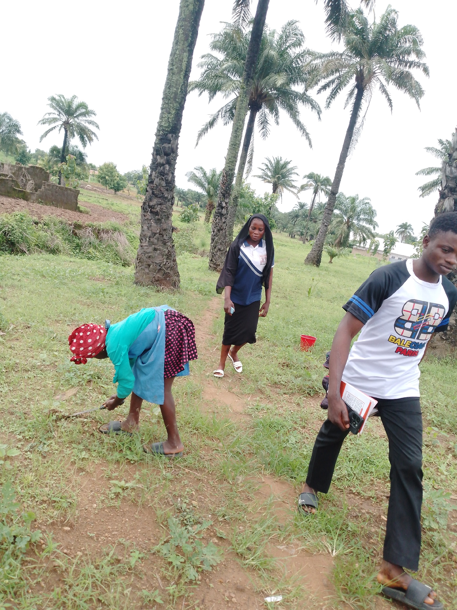 The image shows three young people in an outdoor, rural setting with palm trees and dry vegetation. In the foreground to the left, a person wearing a red and white polka dot headscarf and a blue and green outfit is bent over, appearing to be working the soil with a tool. To the right, a young man wearing a white t-shirt with black sleeves and black pants walks towards the viewer, holding a book and a phone. In the background, a young woman in a blue and white shirt and a black skirt walks away from the camera. A red bucket is visible on the ground behind her. The sky is overcast, suggesting a cloudy day. The overall impression is of a casual, everyday scene in a tropical or subtropical environment. The text on the t-shirt of the young man reads "BALENCIAGA PARIS".