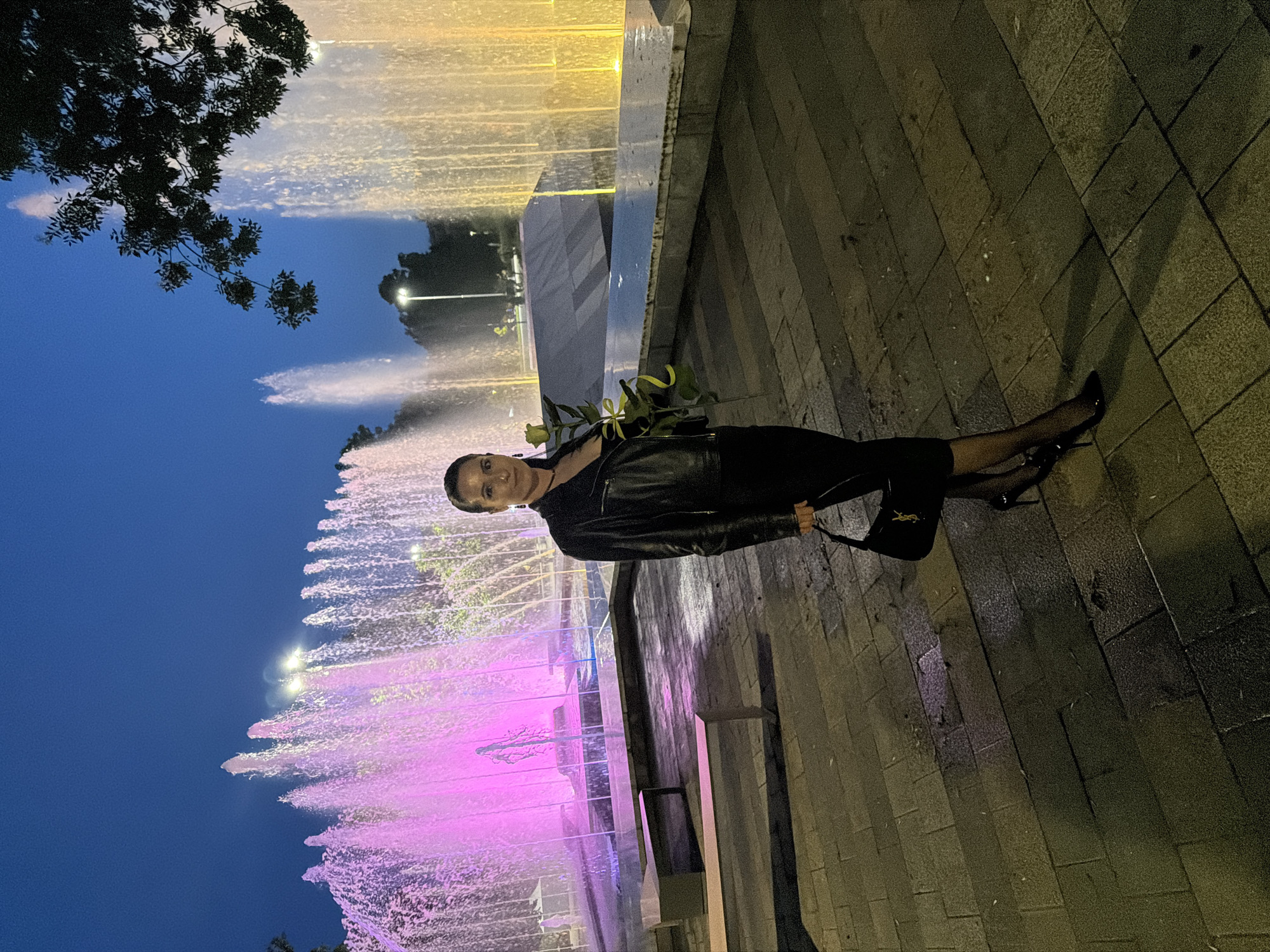 The image shows a woman standing in front of an illuminated fountain at night. The fountains appear to be located in Pleven, Bulgaria, based on the prominent display of colorful water jets. The woman is wearing a black dress, jacket, and heels, and holding a bouquet of white roses and a black YSL handbag. The background shows a dark sky with some tree branches. The ground is paved with rectangular stones. The fountains are illuminated with pink and yellow lights.