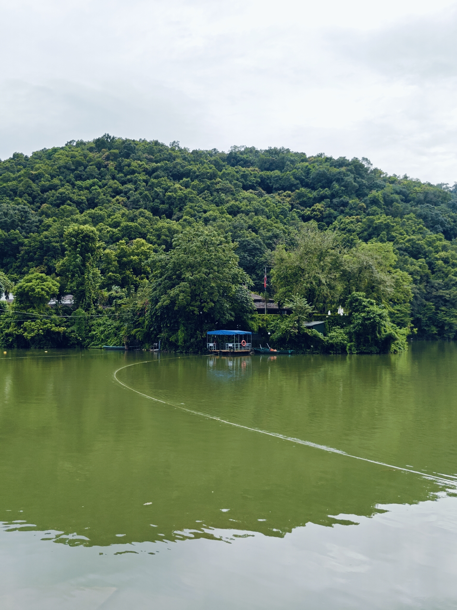The image depicts a serene view of Phewa Lake in Pokhara, Nepal. The lake's water is a lush green, reflecting the overcast sky and the dense, verdant forest that blankets the hillside in the background. On the shoreline, a cluster of trees and structures is visible. A small blue-roofed pavilion, possibly a boathouse or resting area, stands on a wooden platform extending into the water. A life preserver is attached to the railing of this platform. A small green boat is tied to a post near the pavilion. A white rope forms a gentle curve across the surface of the lake, extending from the shoreline towards the foreground. The overall scene conveys a sense of tranquility and natural beauty.