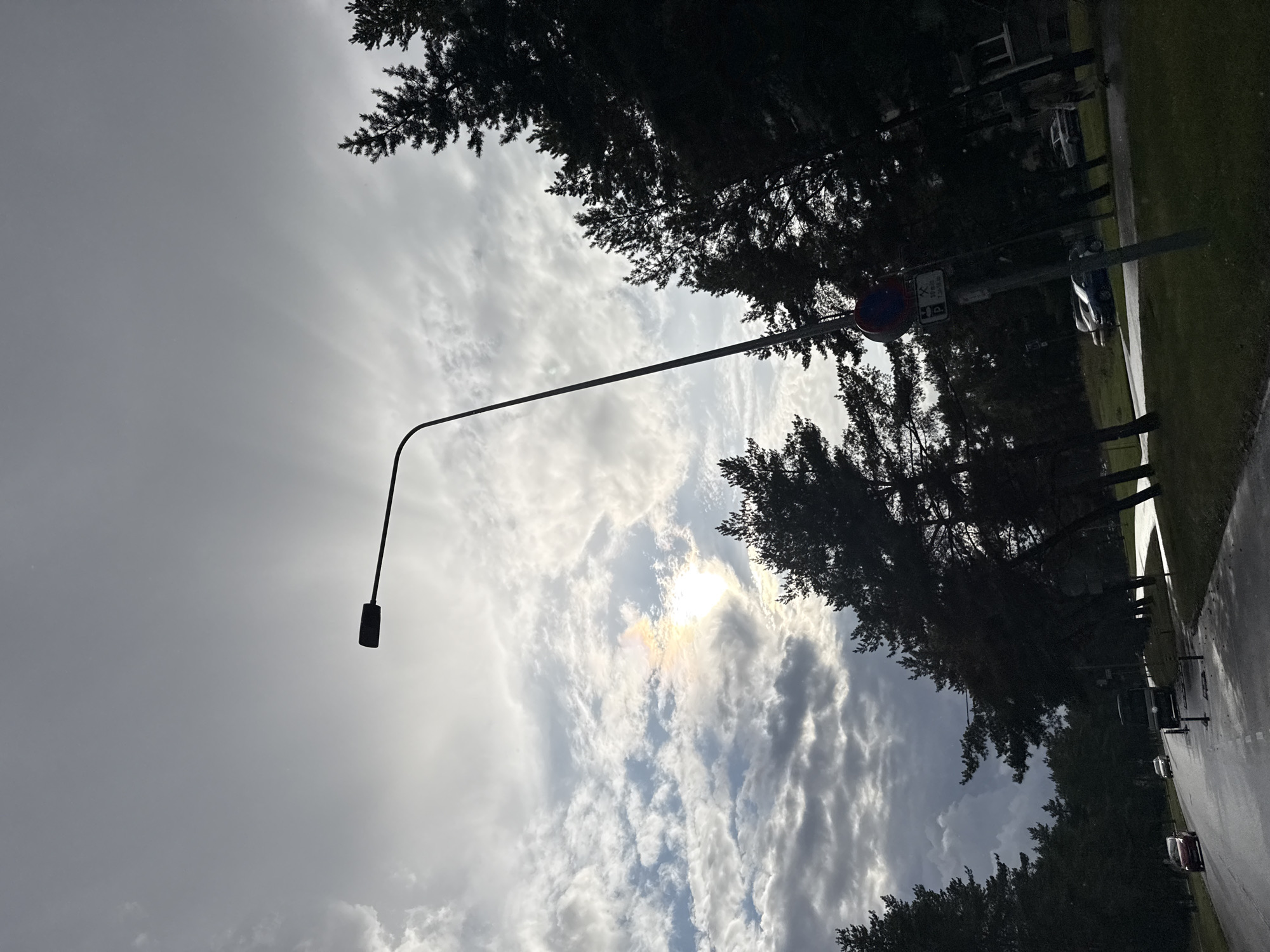 The image depicts a street scene in Tallinn, Estonia, characterized by a dramatic sky and silhouetted pine trees. A tall, dark streetlamp dominates the upper left portion of the frame, its curved arm extending across the sky. The sky is filled with a mix of dark, ominous clouds and brighter, sunlit patches, with the sun partially obscured, creating a halo effect and some subtle rainbow colors. In the distance, a road curves to the left, wet from recent rain, with several cars visible. A red car is driving on the left side of the road, followed by other vehicles and a bus. The right side of the road features a grassy area with more silhouetted pine trees and a building in the far background. A traffic signpost with parking regulations is also visible near the right edge of the road. The overall mood is somewhat somber due to the cloudy sky, but the glimpses of sunlight suggest a shift in weather.