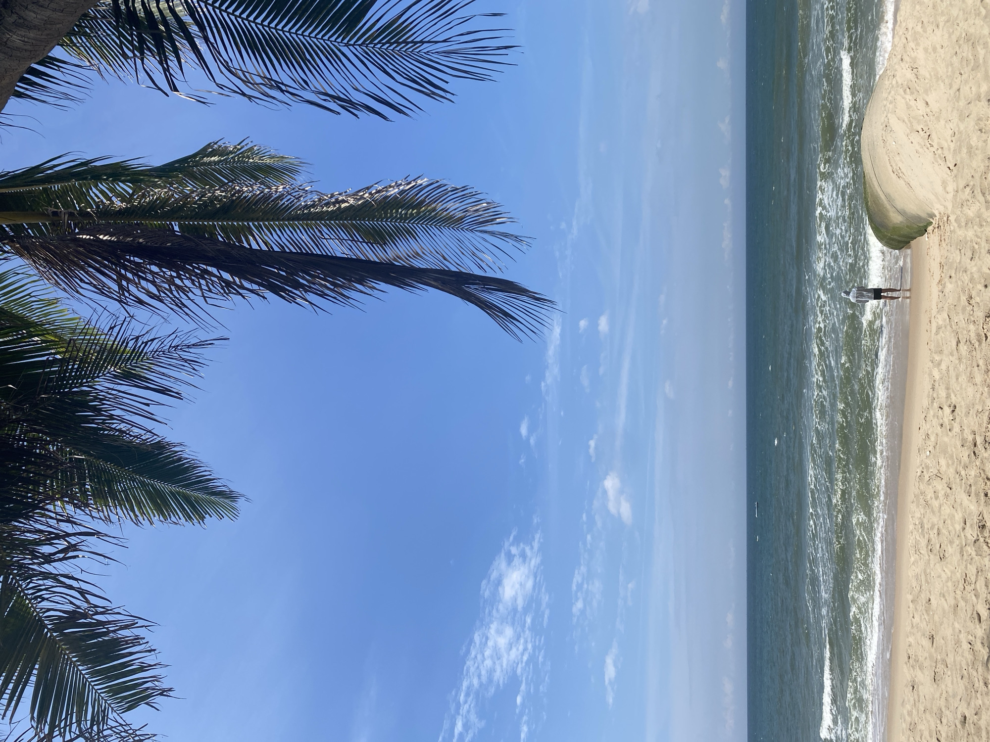 A person stands on a sandy beach in Mũi Né, Vietnam, facing the ocean. Palm fronds hang from the top of the frame, creating a natural canopy. The sea is a deep blue-green, with gentle waves breaking on the shore. The sky is clear blue with scattered white clouds. In the foreground, a large, curved concrete structure covered in sand and moss sits on the beach. The person is wearing dark shorts and a light-colored hooded jacket, with their back to the camera, looking out at the water. The overall scene depicts a peaceful moment at the beach.